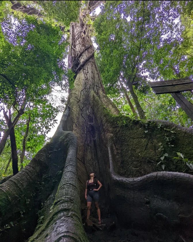 Picture of Carly standing with tree