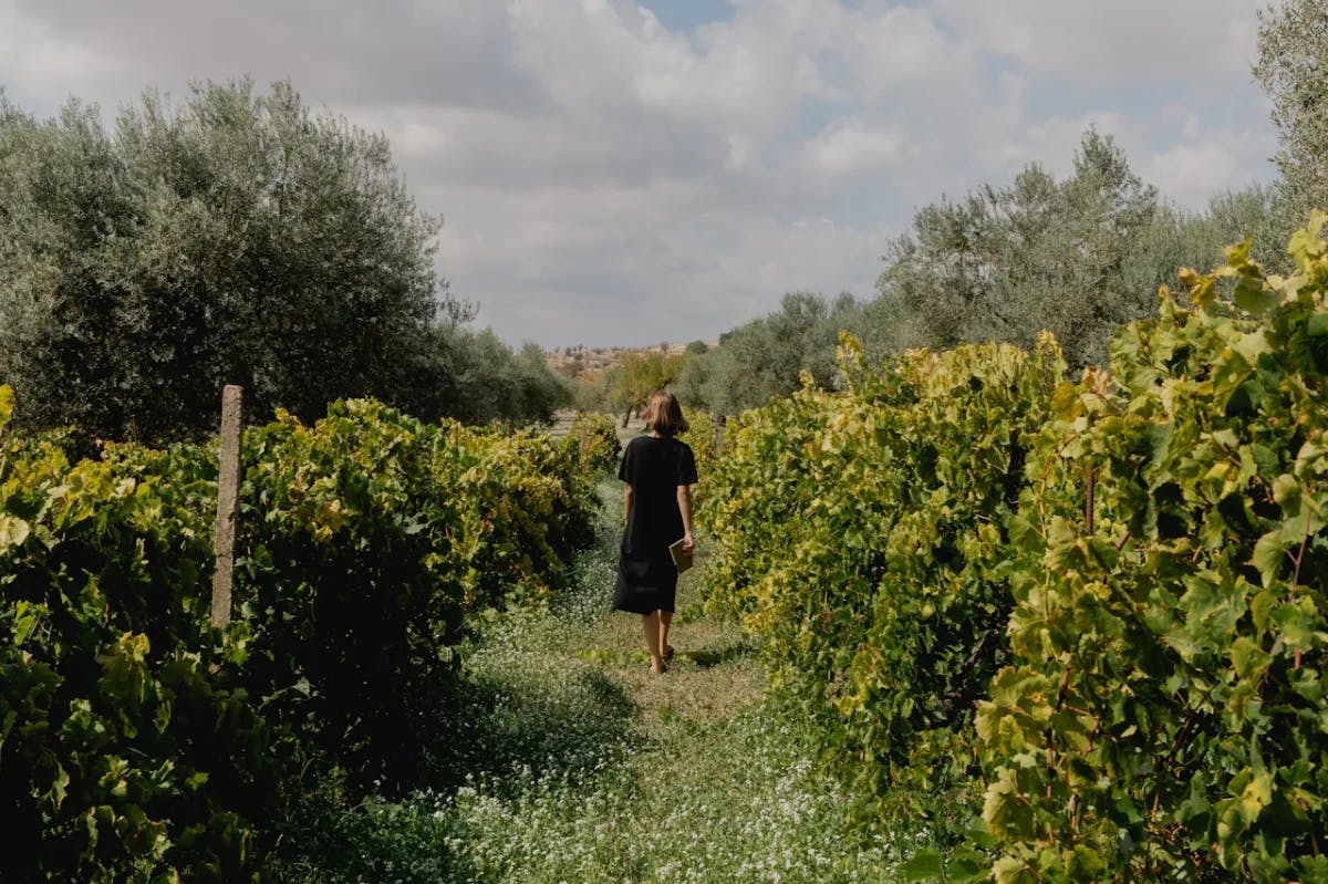 Woman walking in orchard