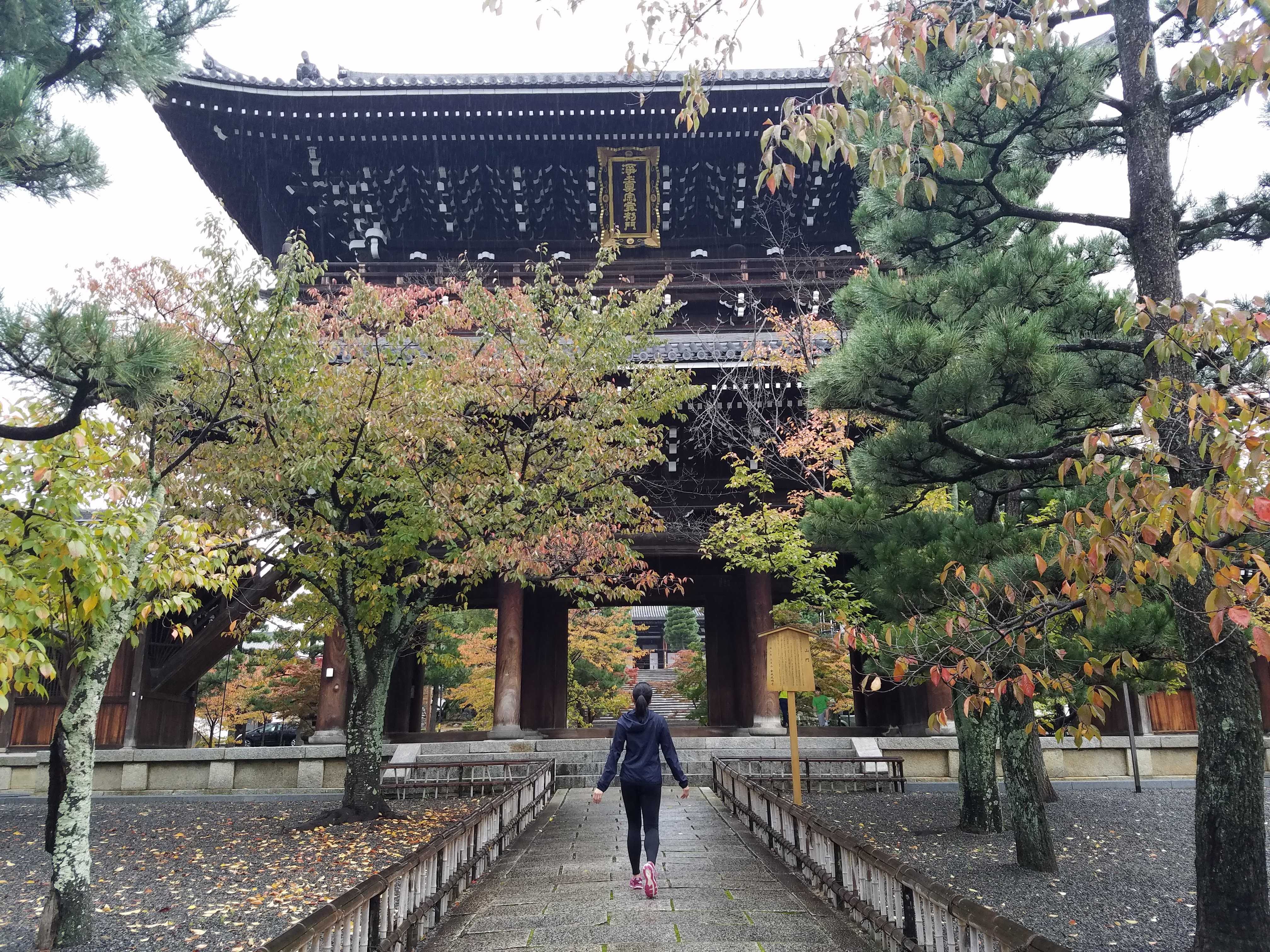 A temple in Japan covered with trees