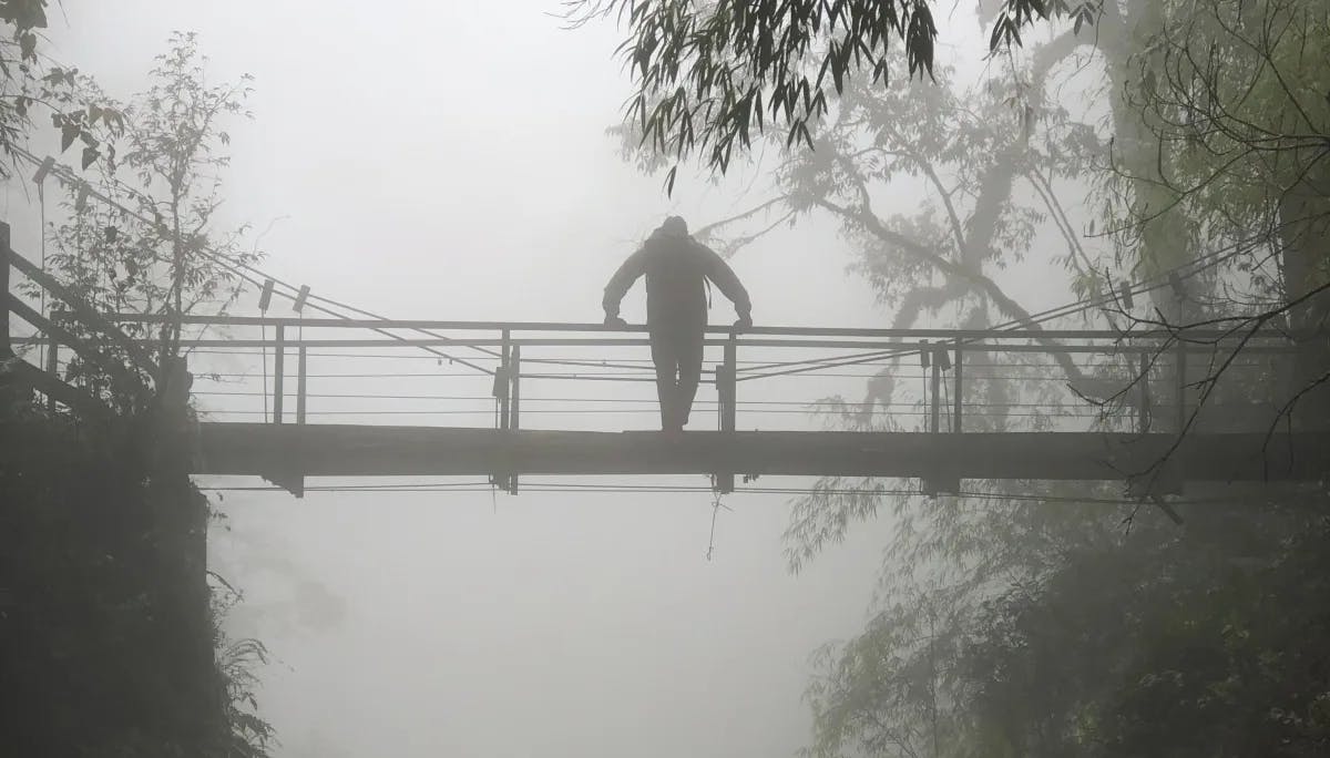 A picture of people walking on a bridge.