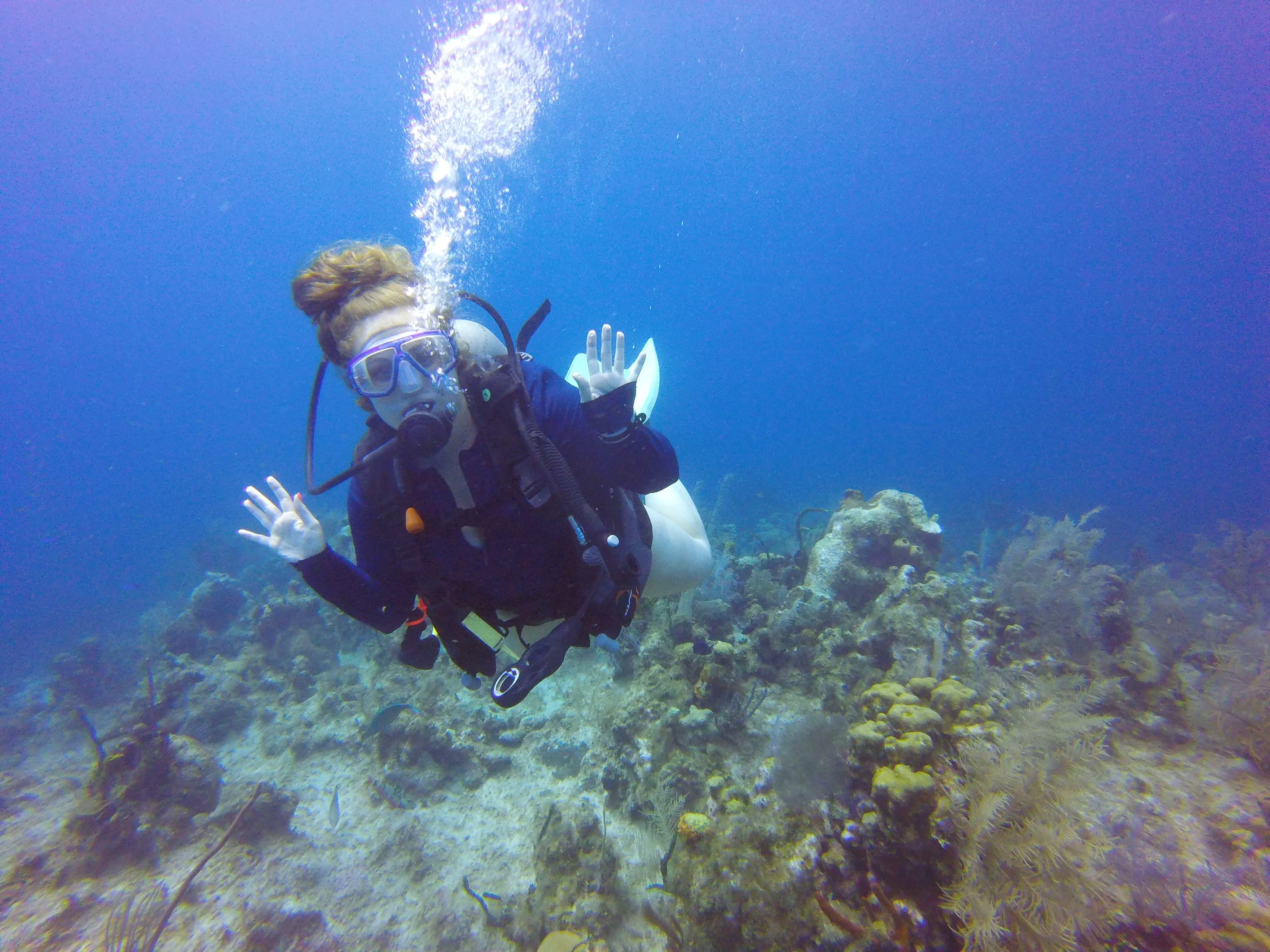 Travel advisor scuba diving