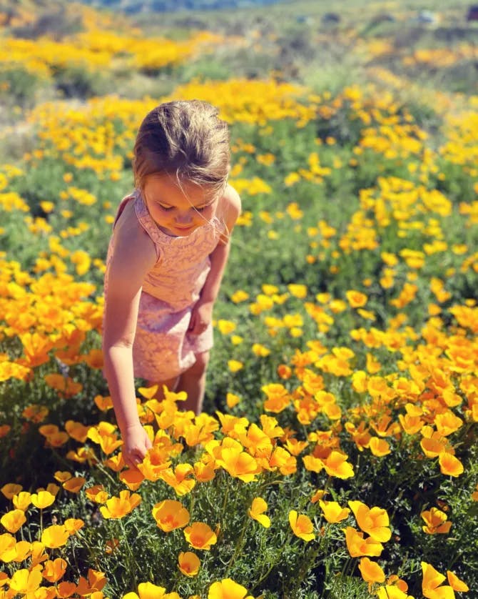 Picture of girl plucking flowers