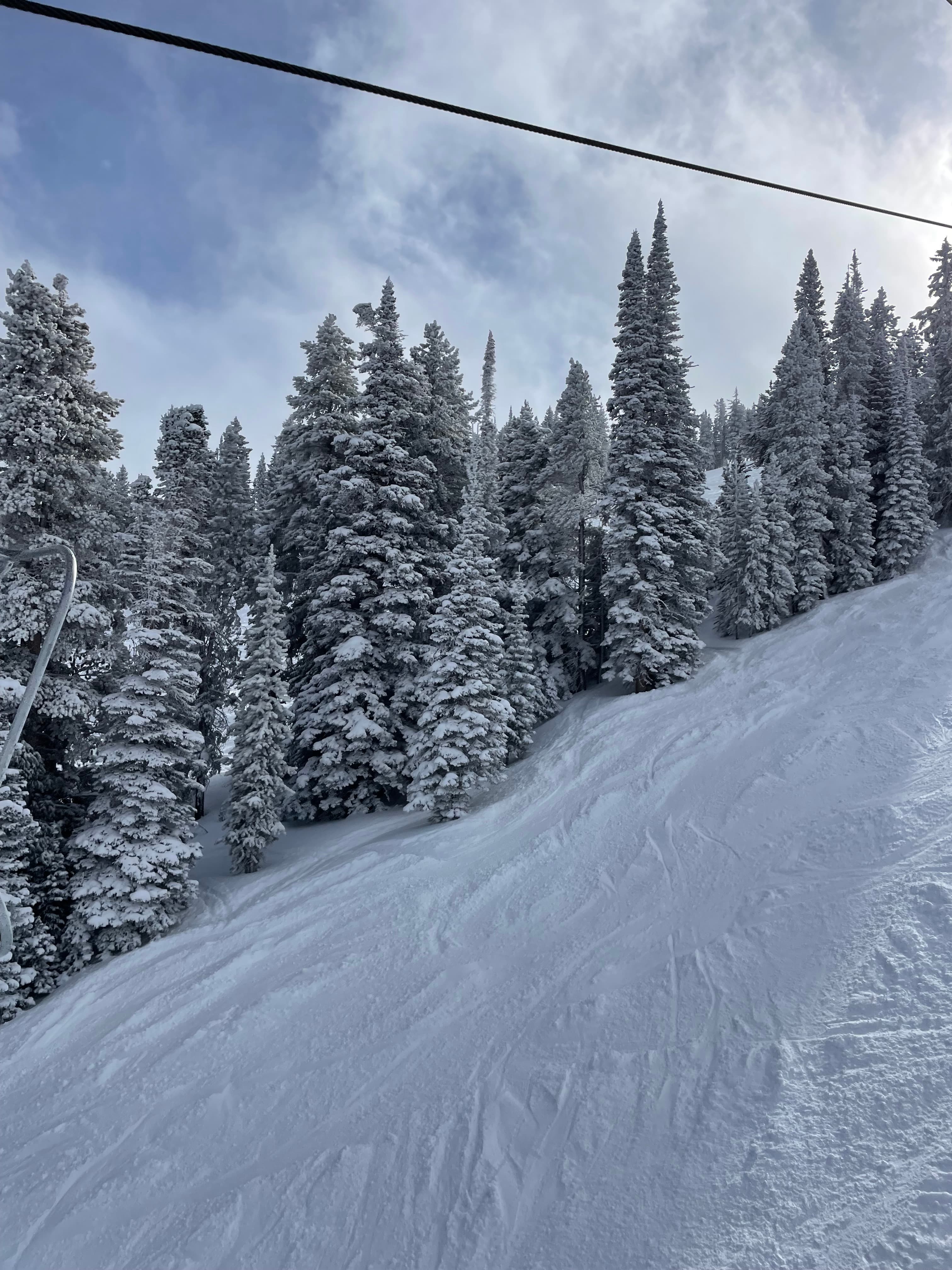A ski hill and pine trees covered in snow