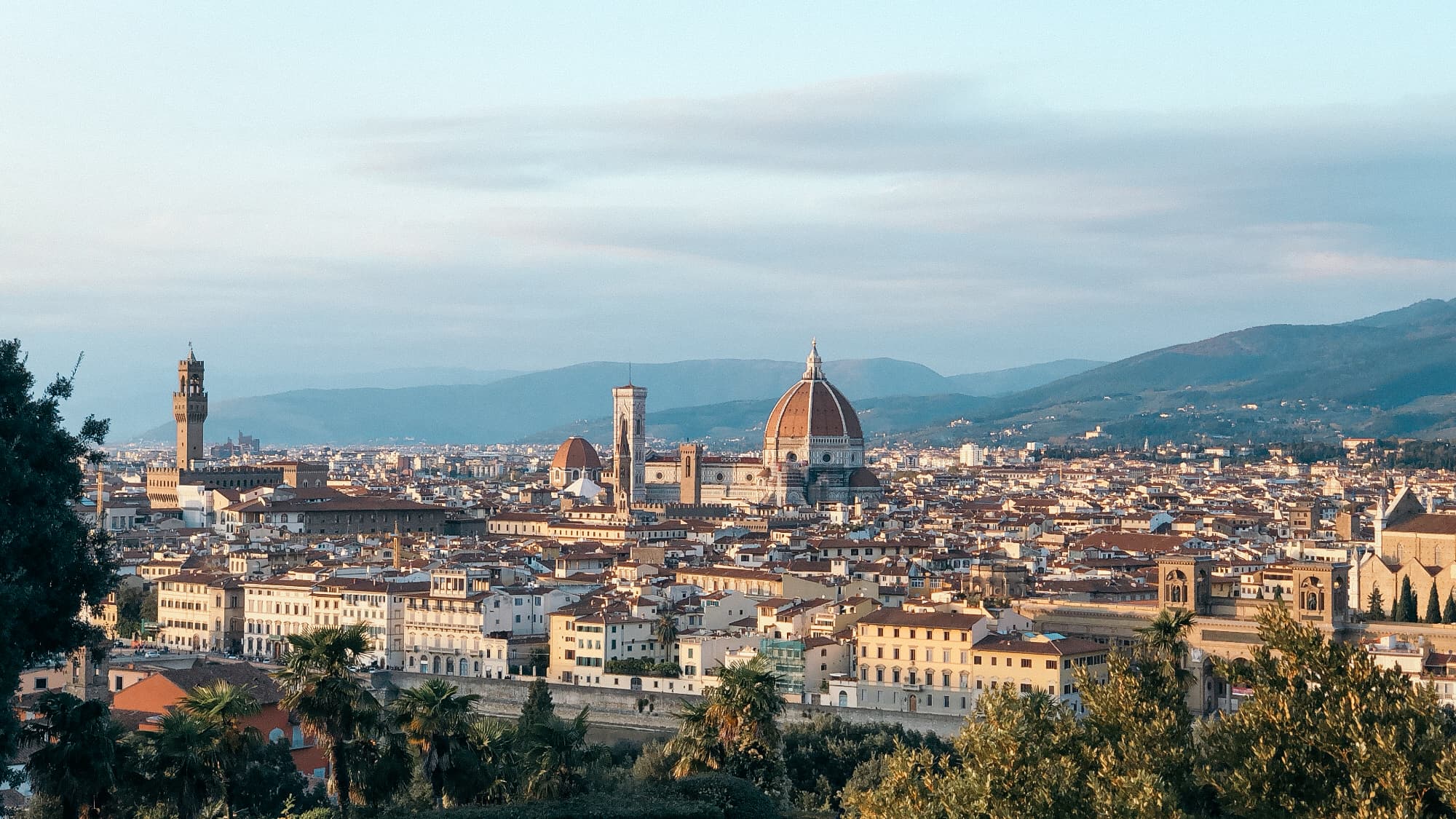 Arial view of the city