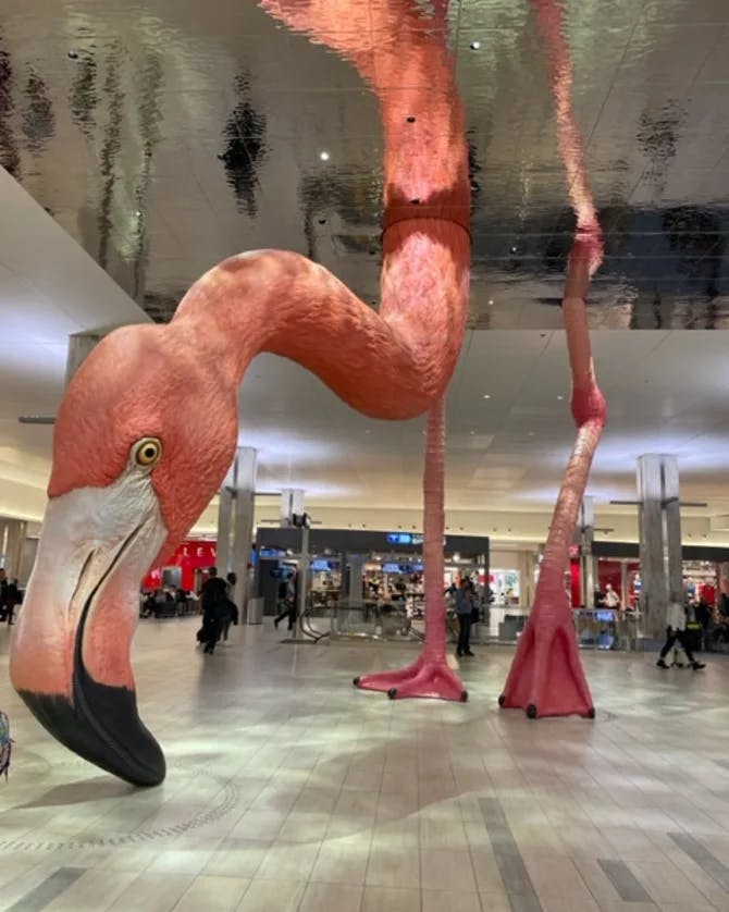 A giant flamingo sculpture