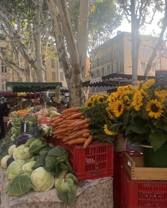 A photo of cabbage, carrots and sunflowers at an outdoor market.