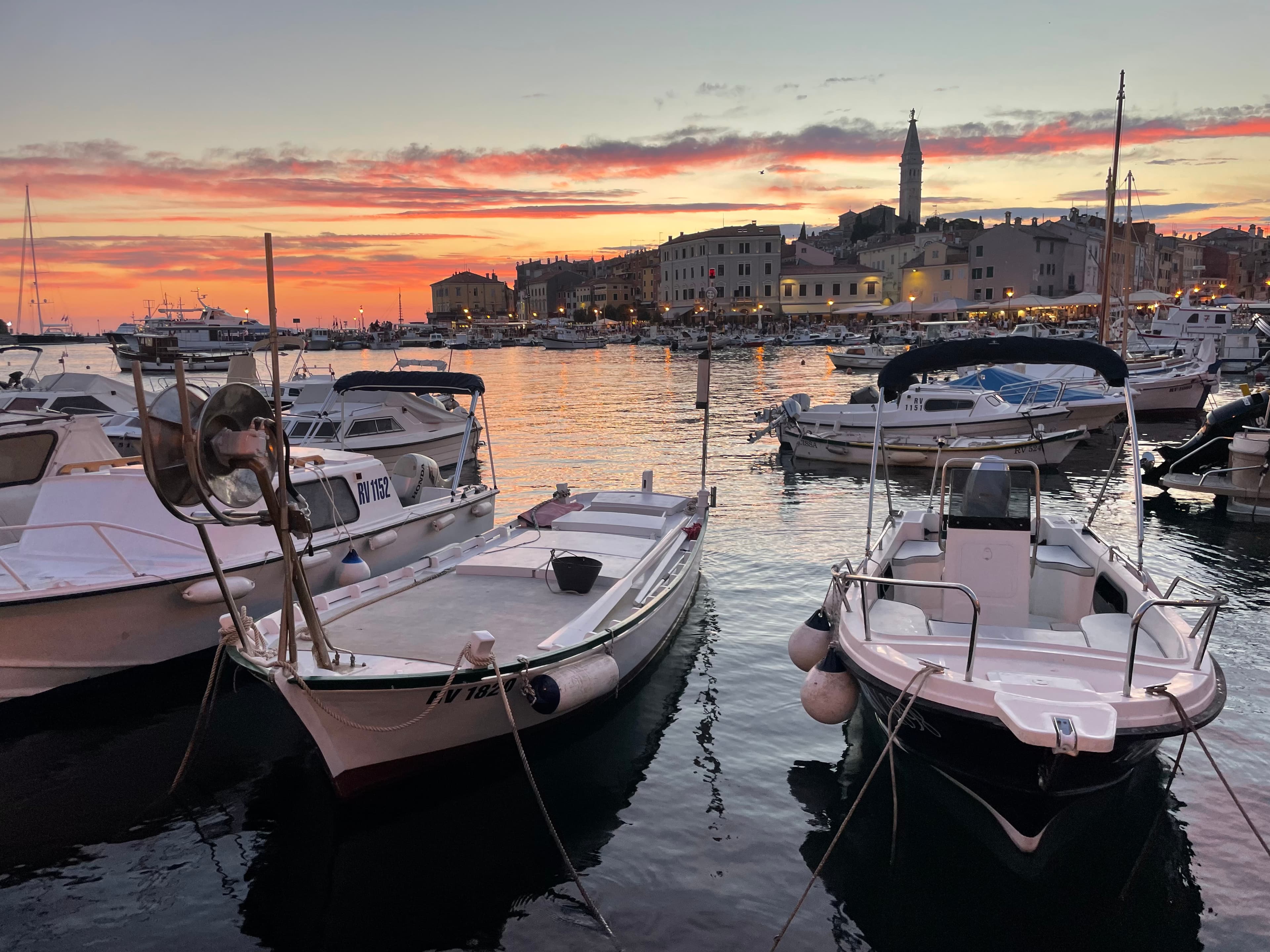Boats docked at the marina