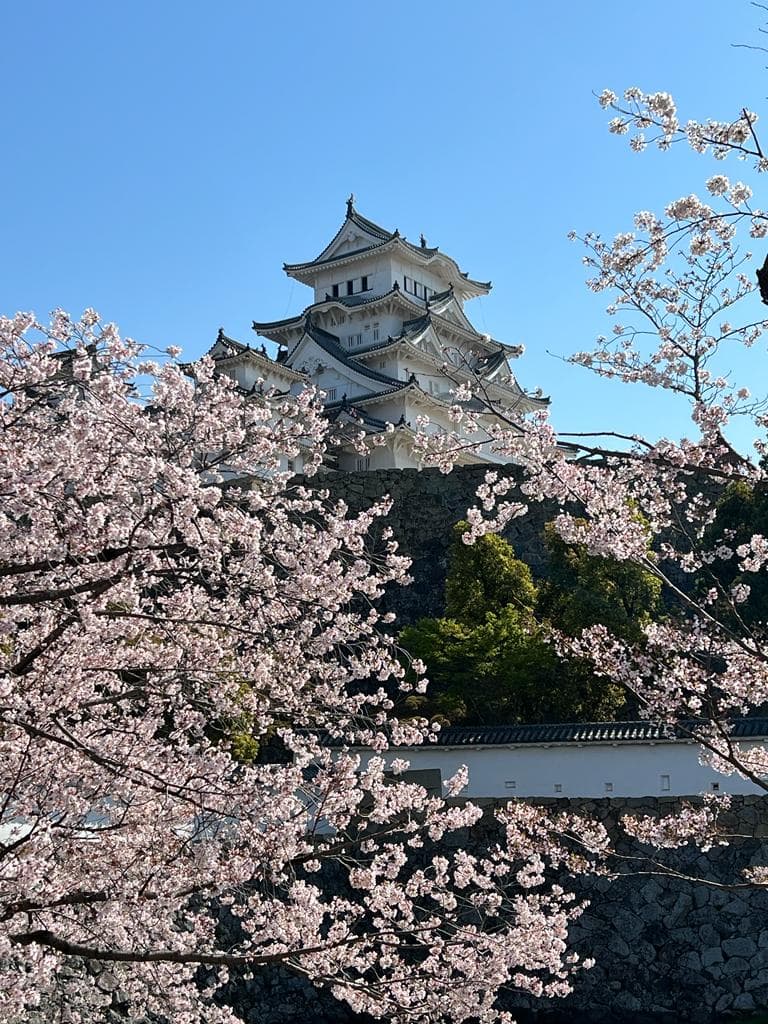 View of a house and flowers