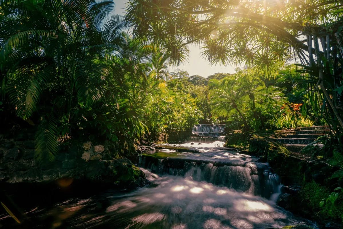 Lush jungle is interrupted by flowing stream rapids that parallel a stone staircase at Tabacon Thermal Resort and Spa, one of the best places to stay in Costa Rica