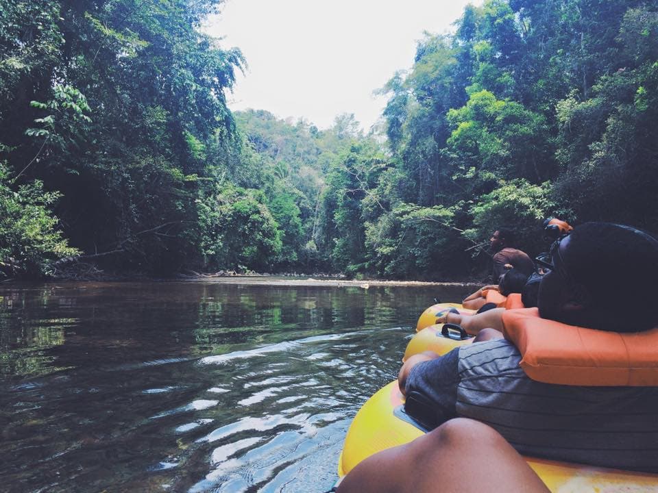 A photo of people kayaking on a river surrounded by an abundance of green trees