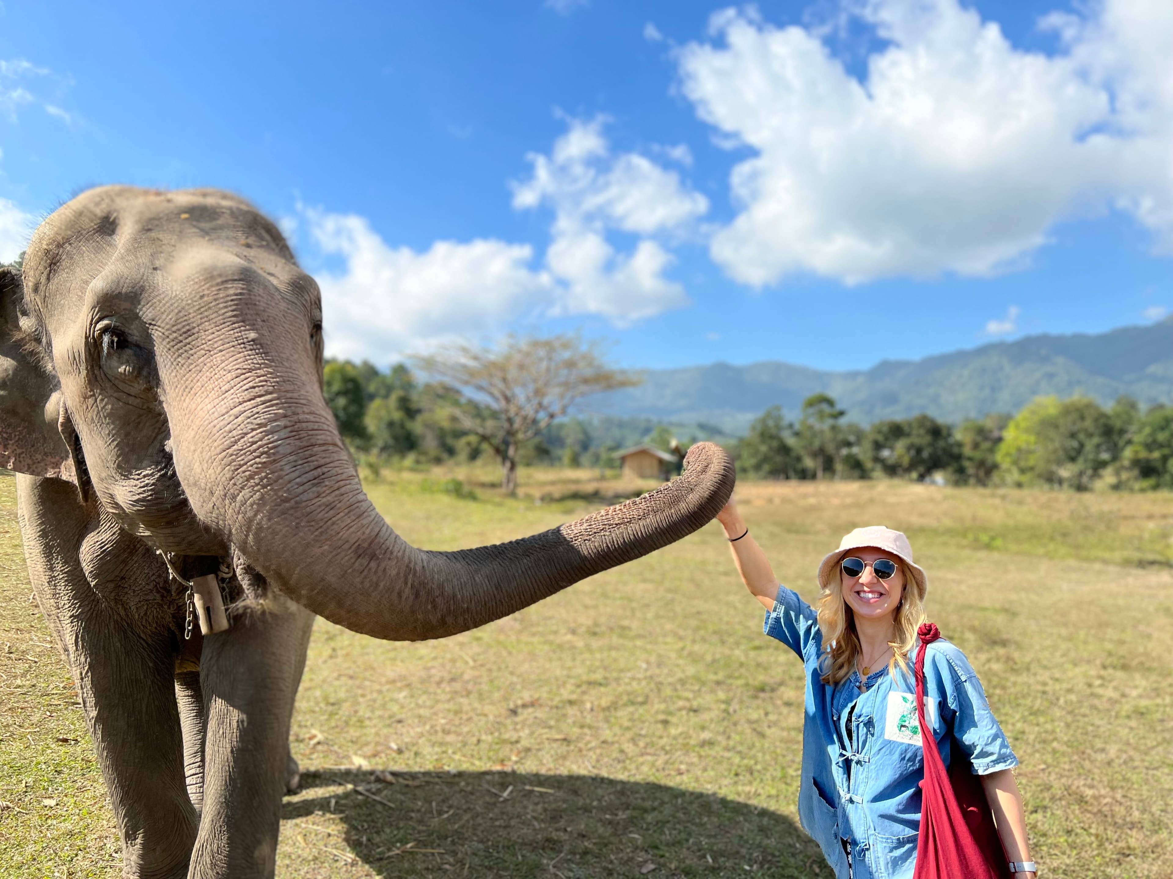 Woman posing with an elephant