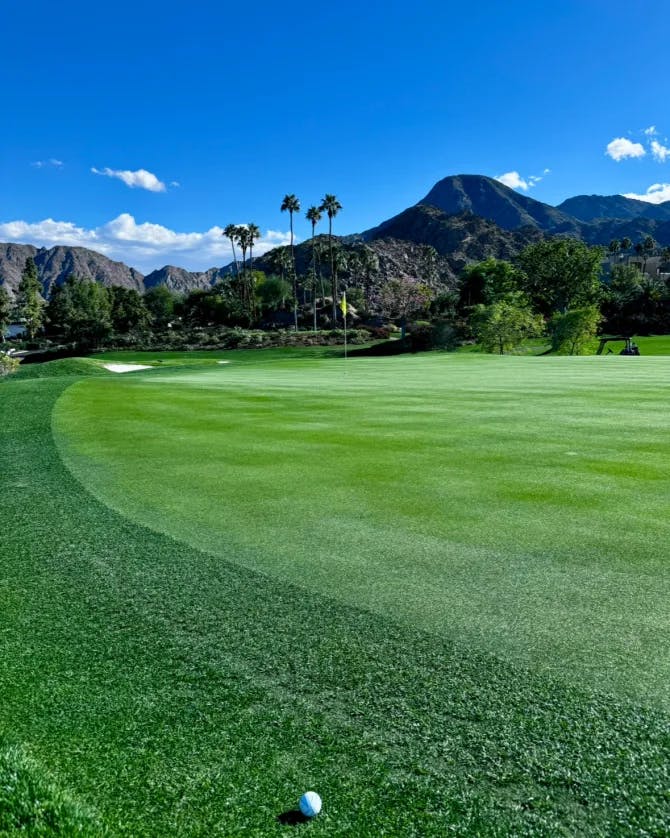 A golf course with mountains and palm trees in the background
