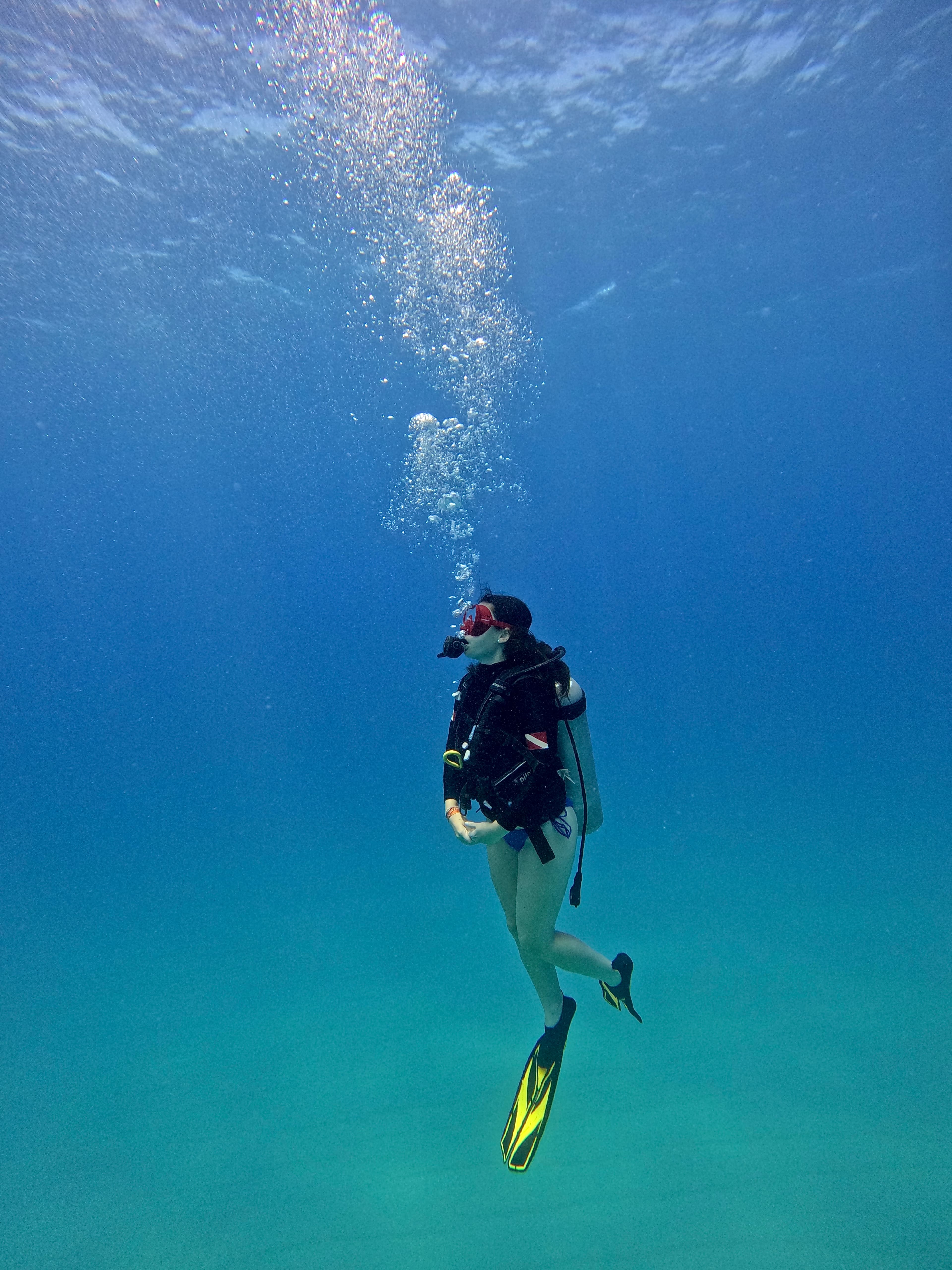 Travel advisor snorkeling