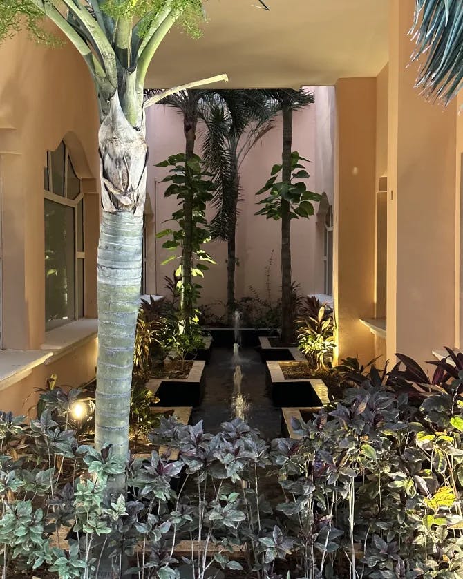 A palm tree and green plants in front of a yellow hallway with a fountain and trees in the background