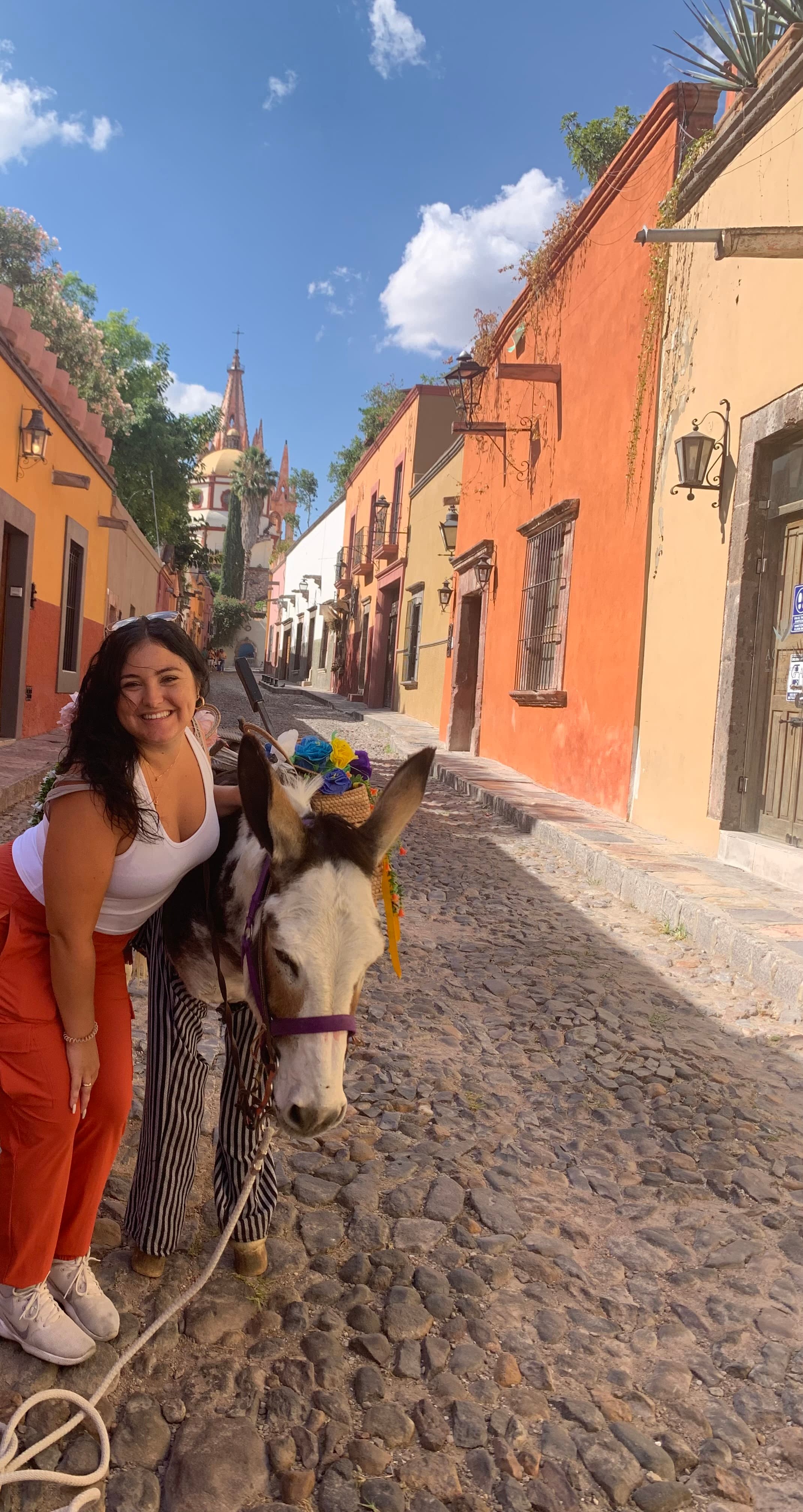 Picture of Brittany wearing a white shirt and red pants leaning down next to a Mule in the street surrounded by colorful buildings