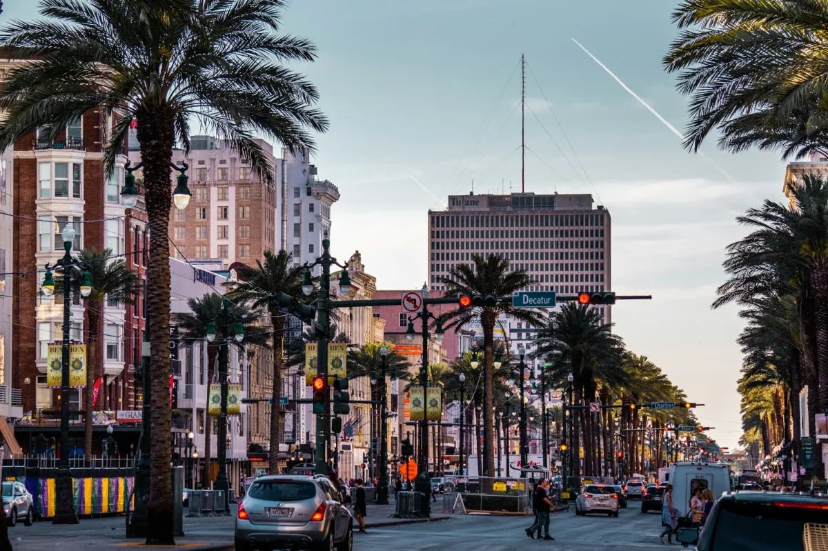 At dusk: a long row of palm trees bisects New Orleans' Canal Street