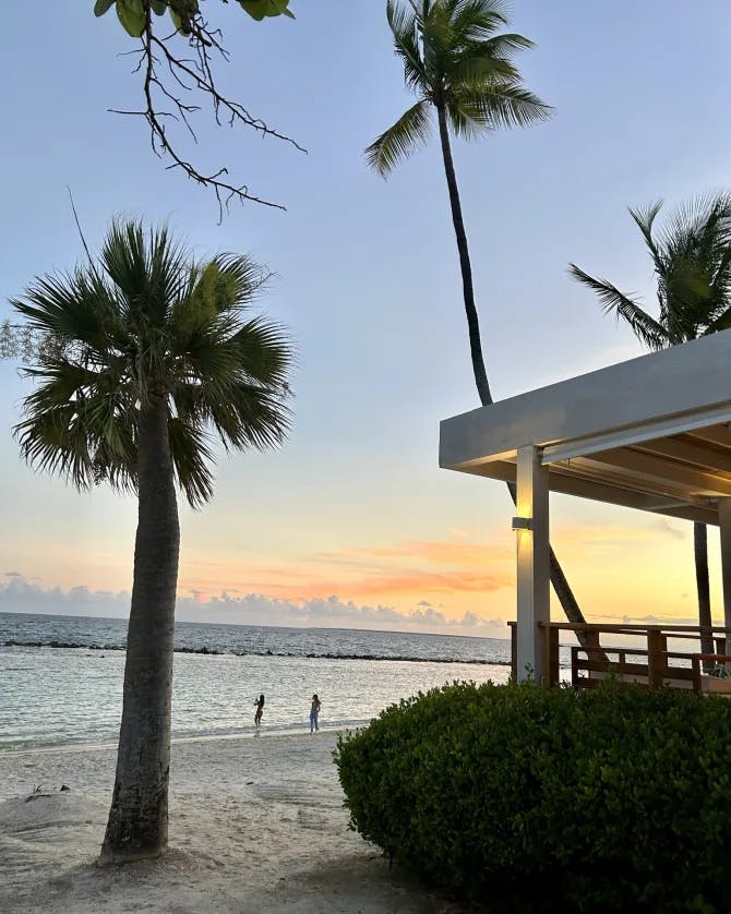 A beachfront cabana flanked by palm trees at dusk.