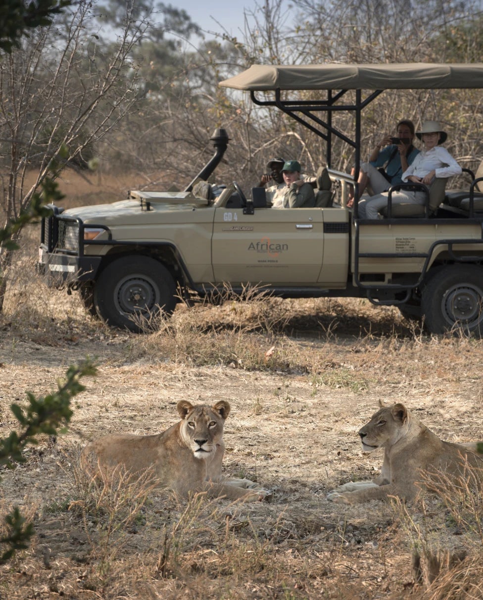 Symphony of the Savanna: A Safari in Zimbabwe's Wild Heart at Kanga Camp