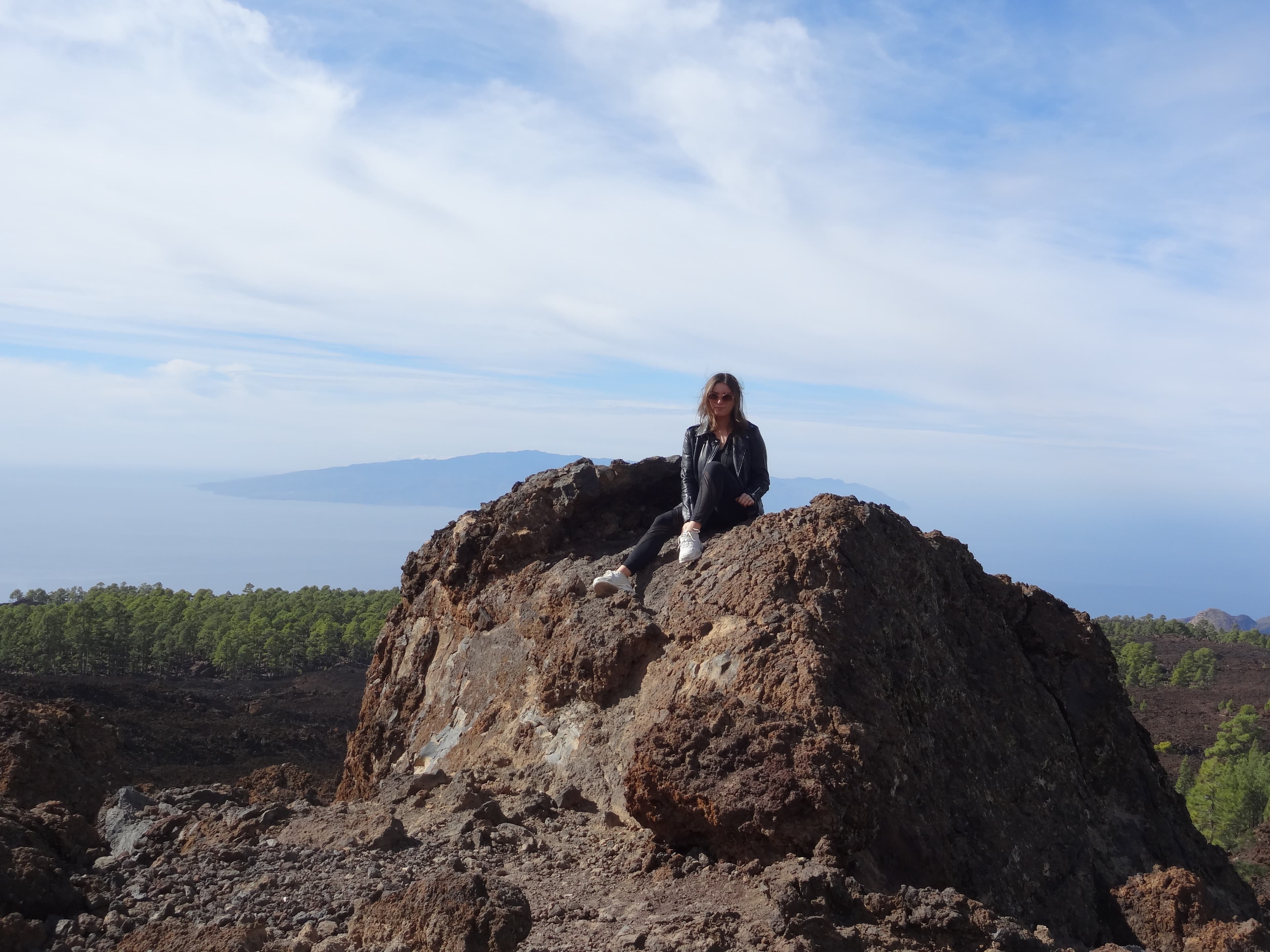 lily on a mountain rock