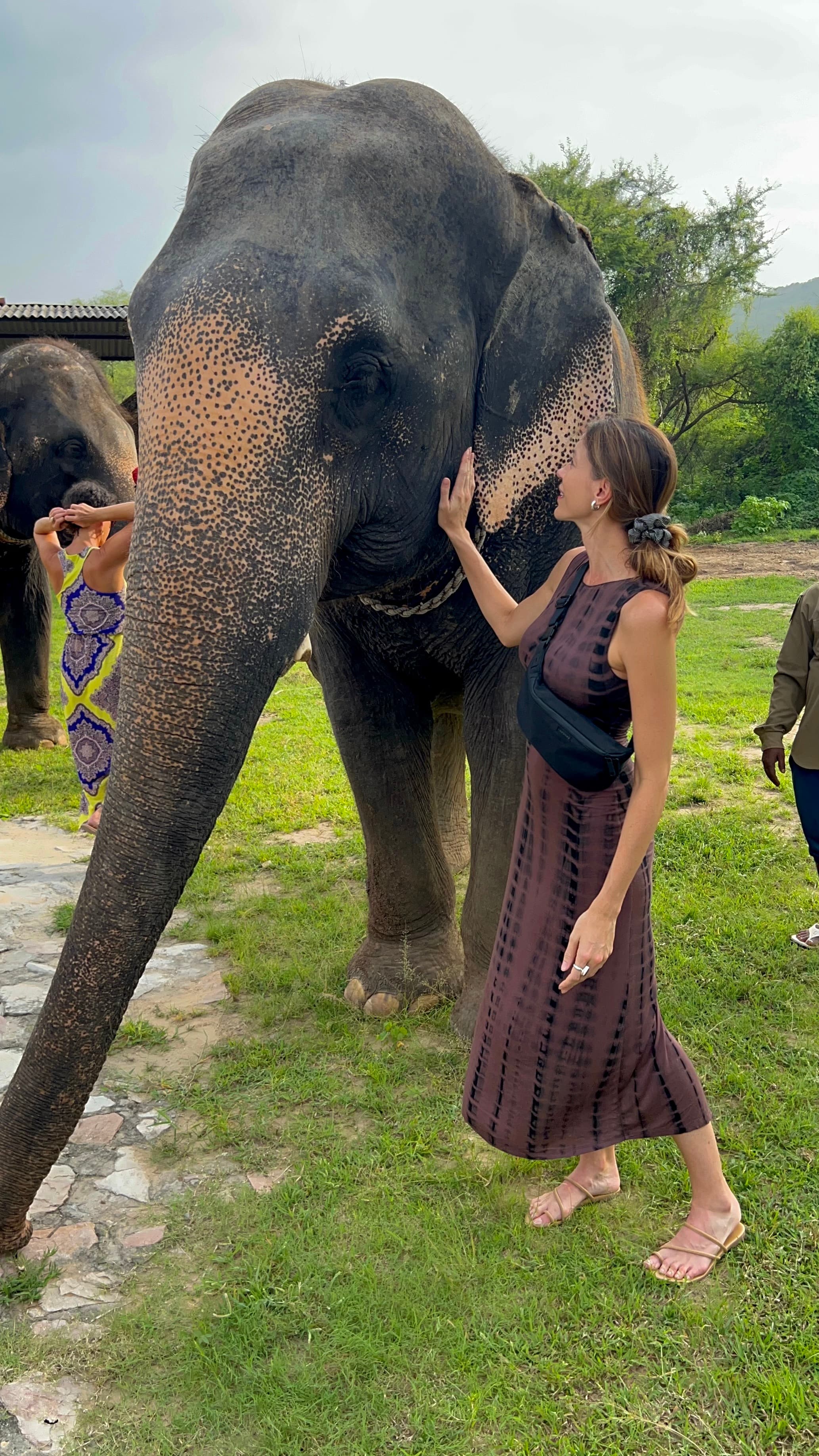 Travel advisor posing with an elephant