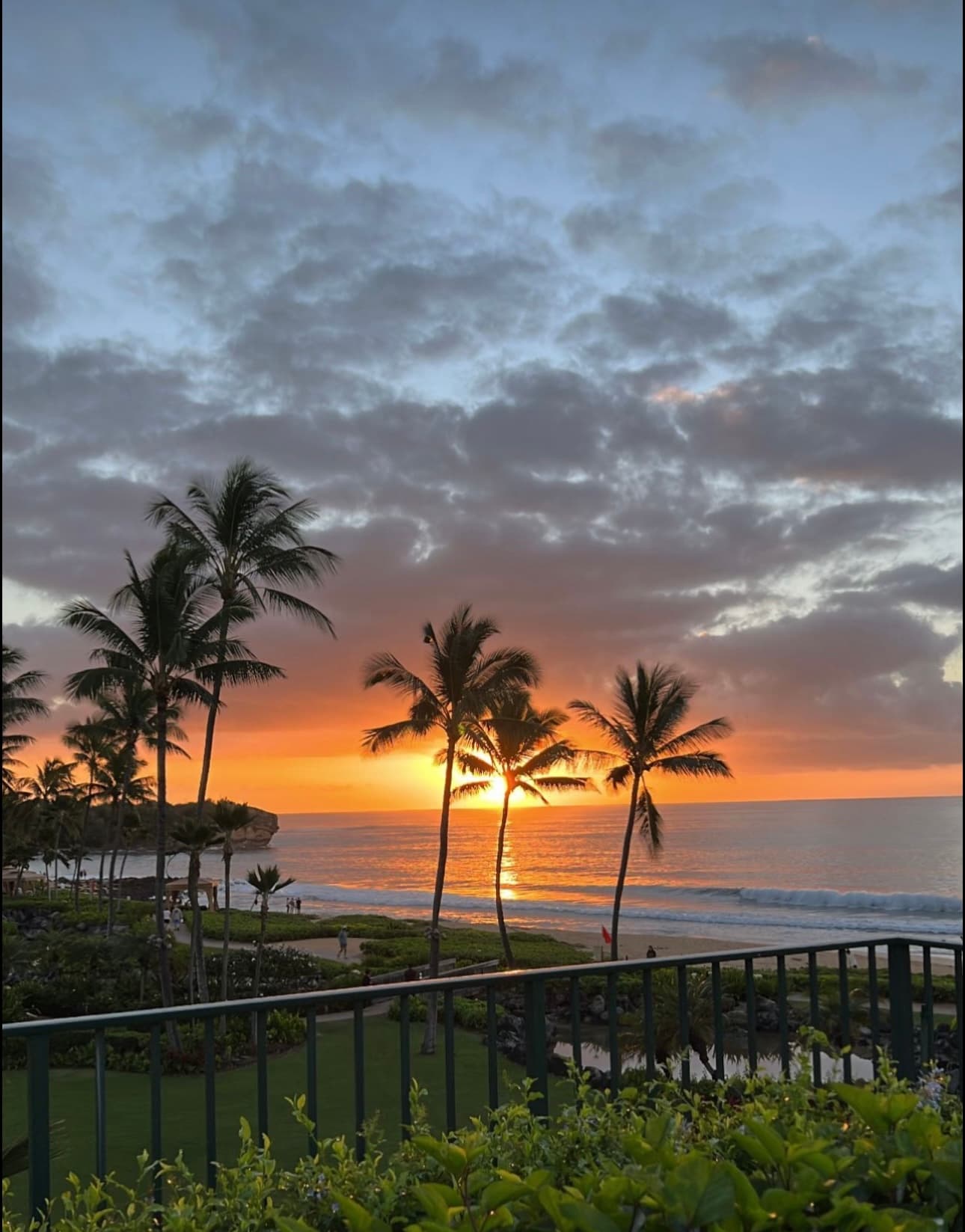Sunset, sky, sea and trees view