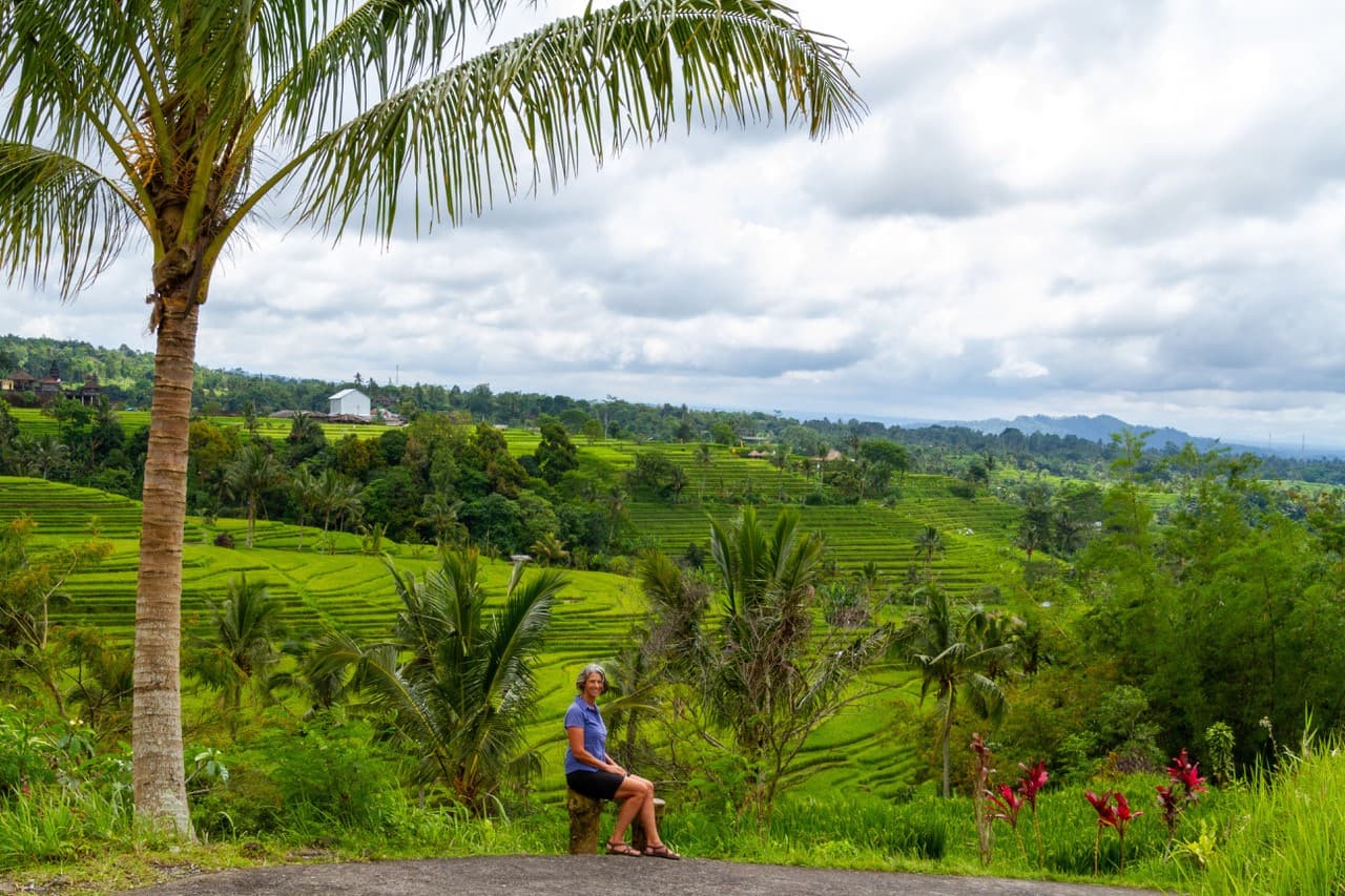 A beautiful green site