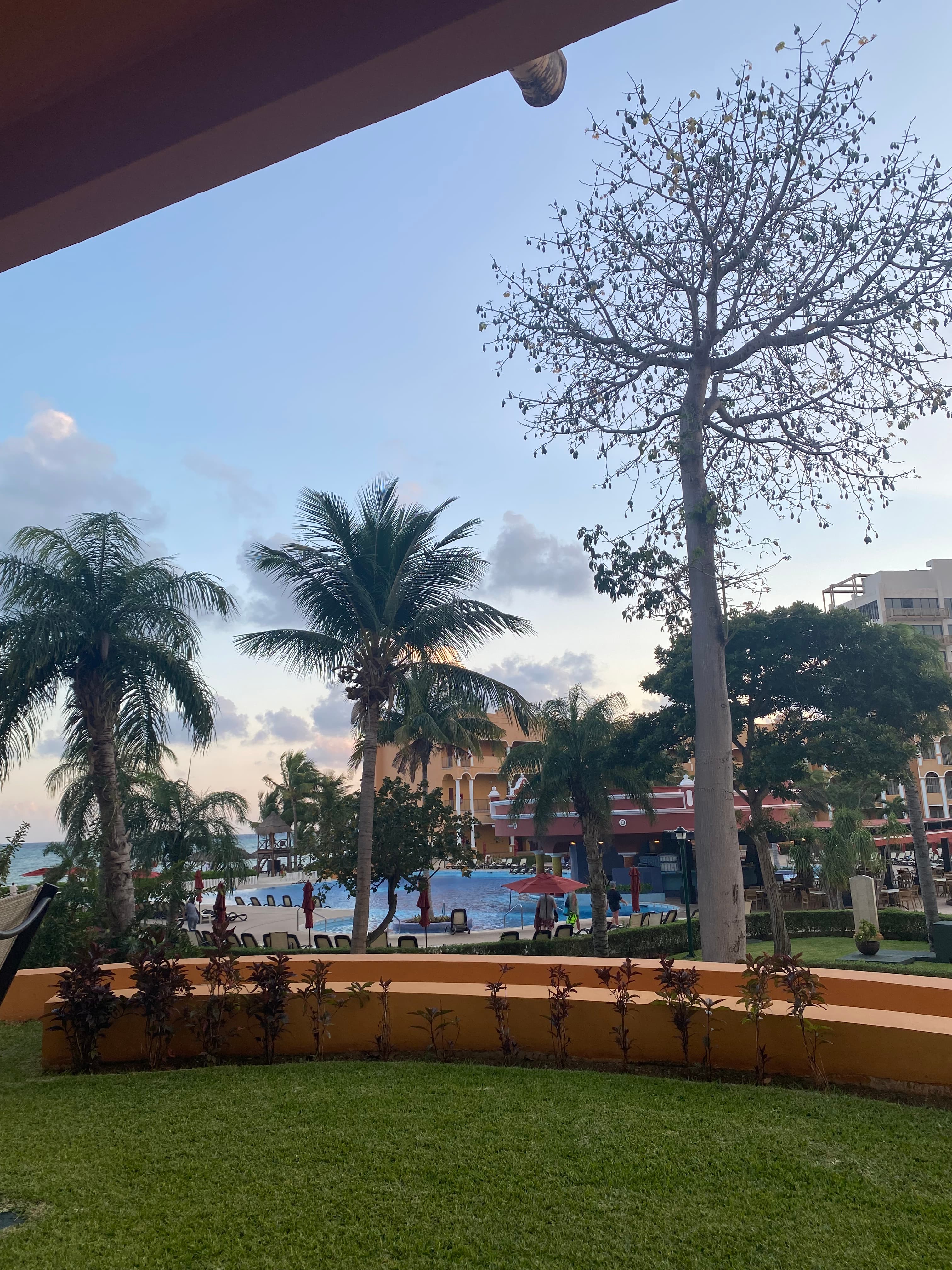 Tropical setting outside of a hotel with a view of a swimming pool and palm trees.