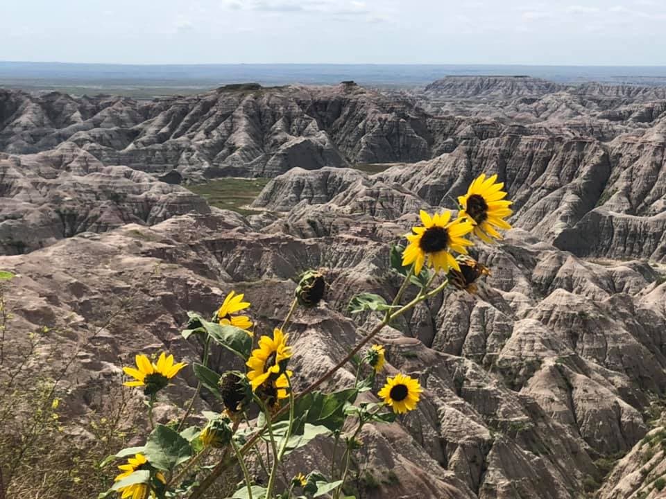 Beautiful view of Badlands