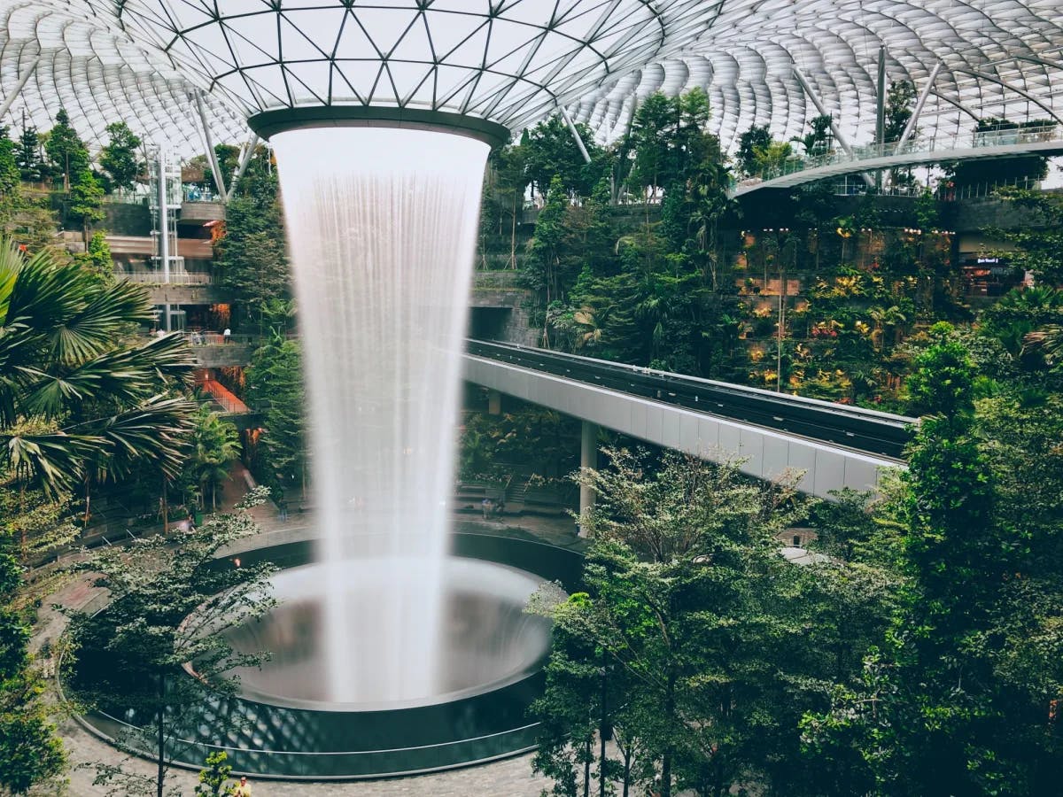 Green trees in a glass building with a water shower at the center.