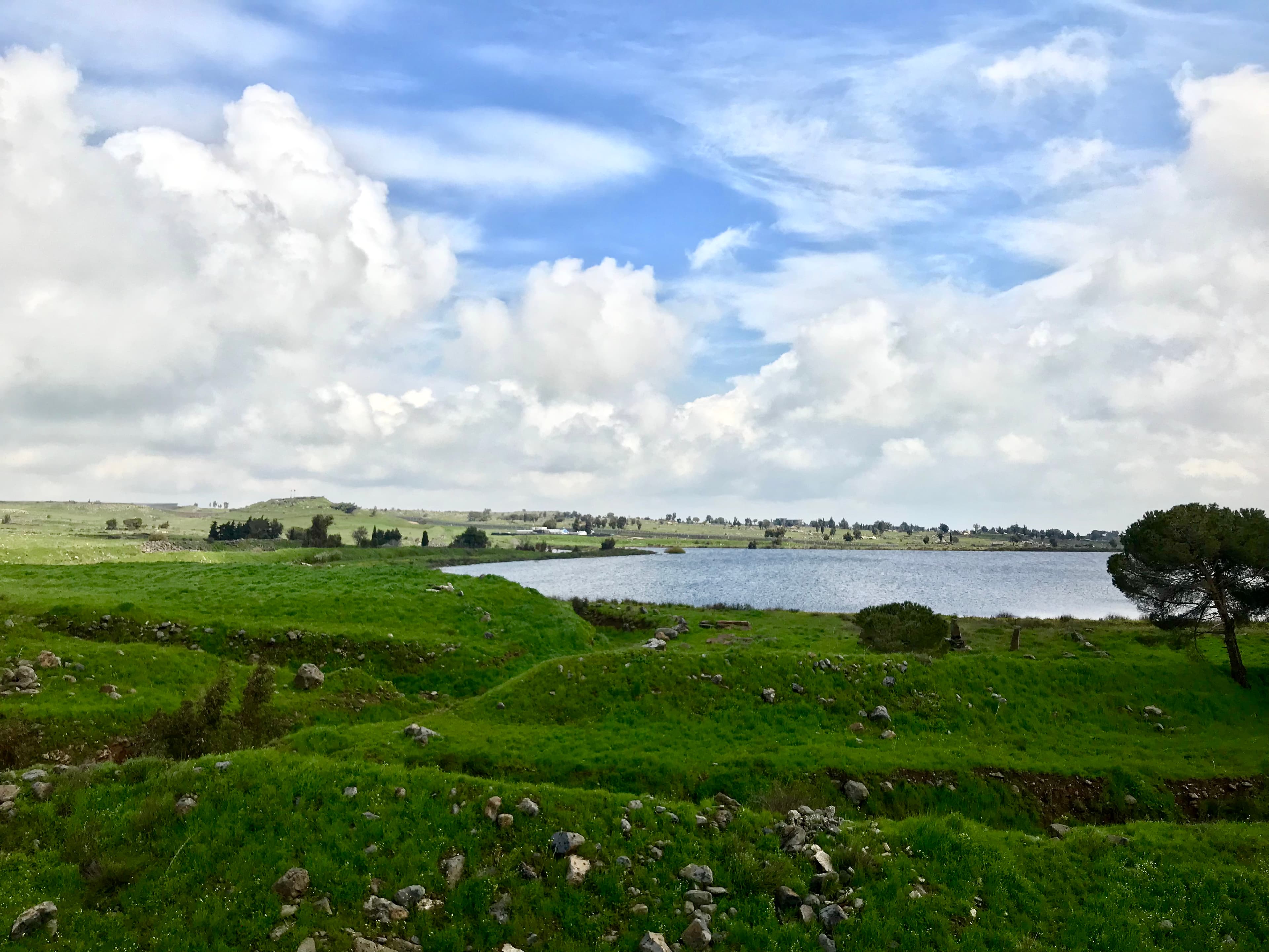 green valley and lake