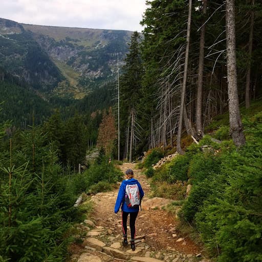 Girl in blue jacket hiking in a forest.