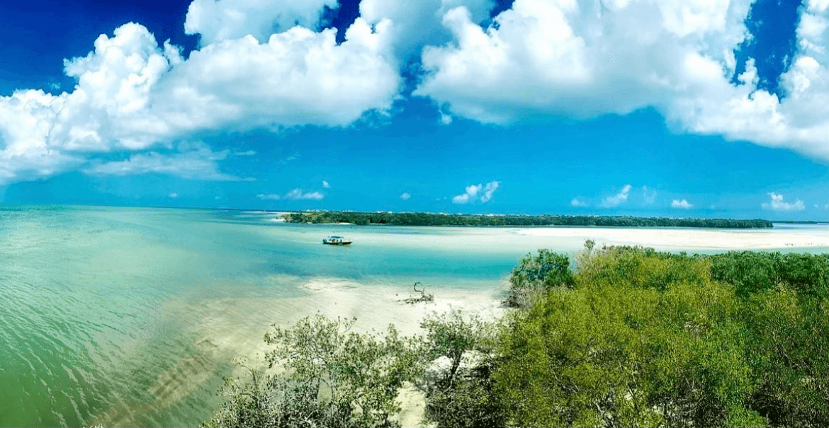 tropical view by the beach