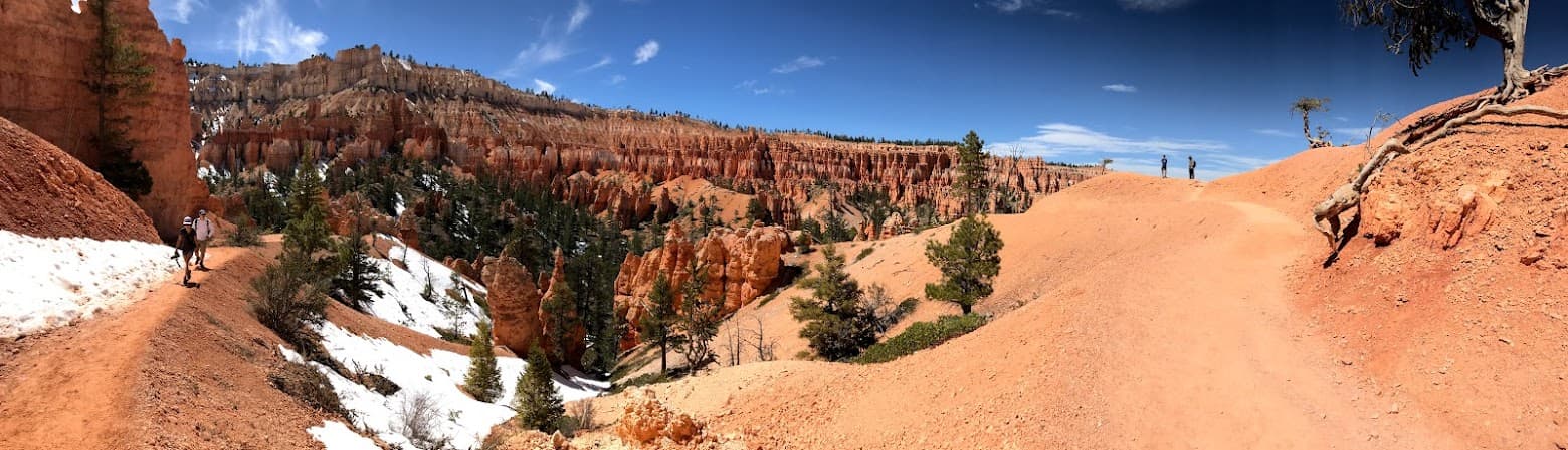 Canyon during day time.