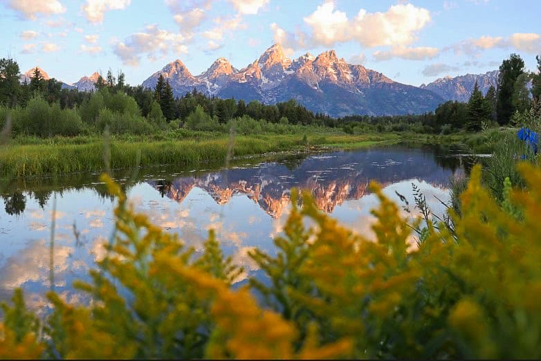 Picture of Grand Teton National Park