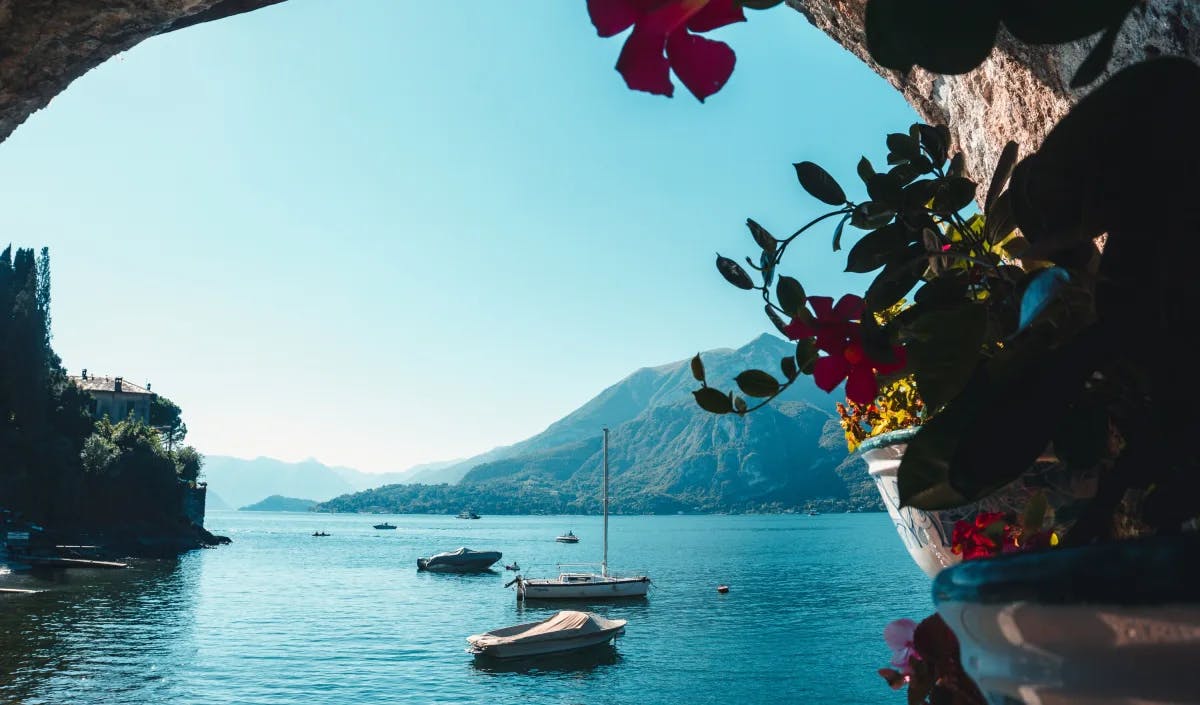 Pink flowers in front of a lake with white boats on blue water in Lake Como, Italy.
