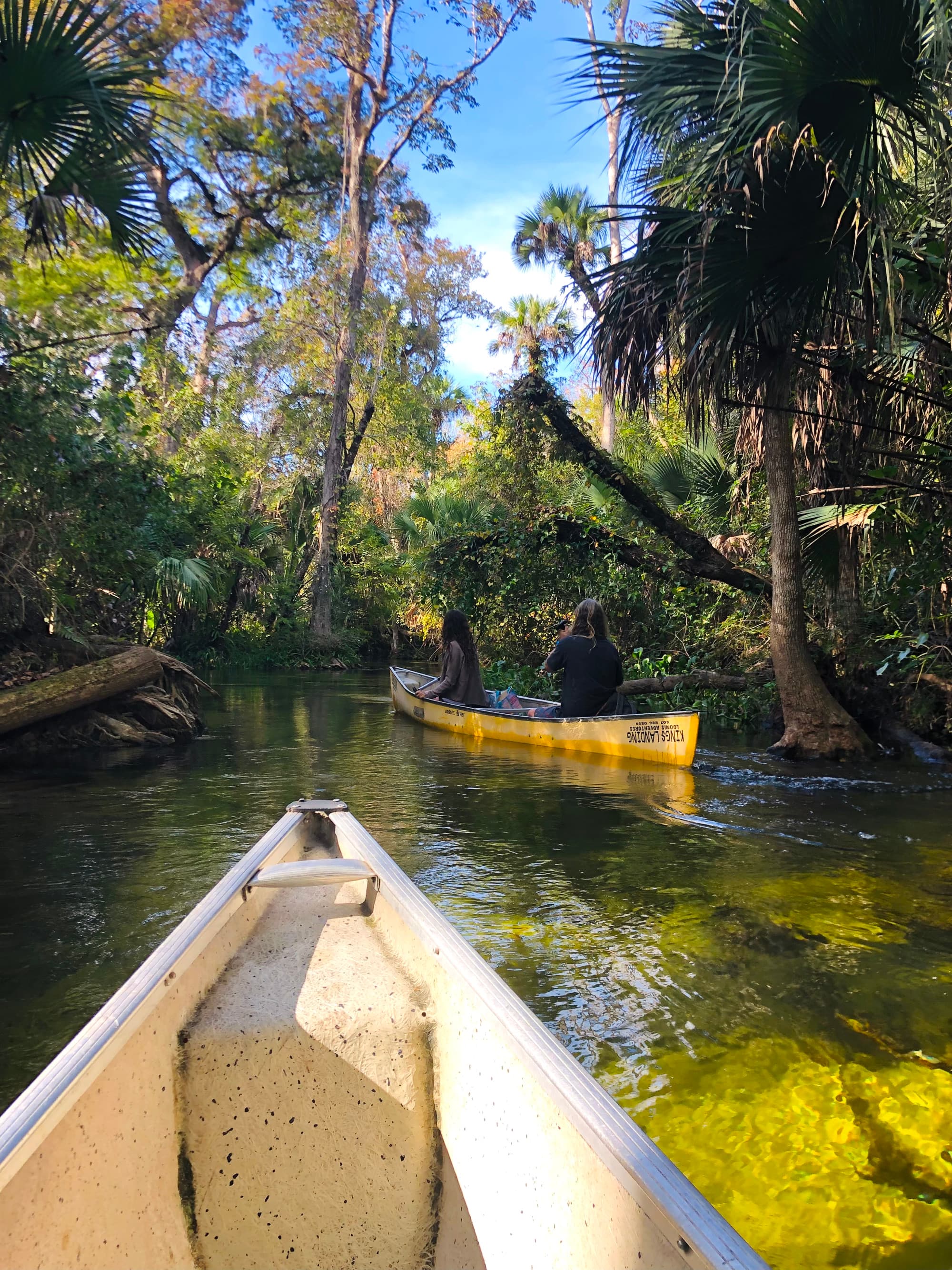 the bow of a canoe through a jungle river