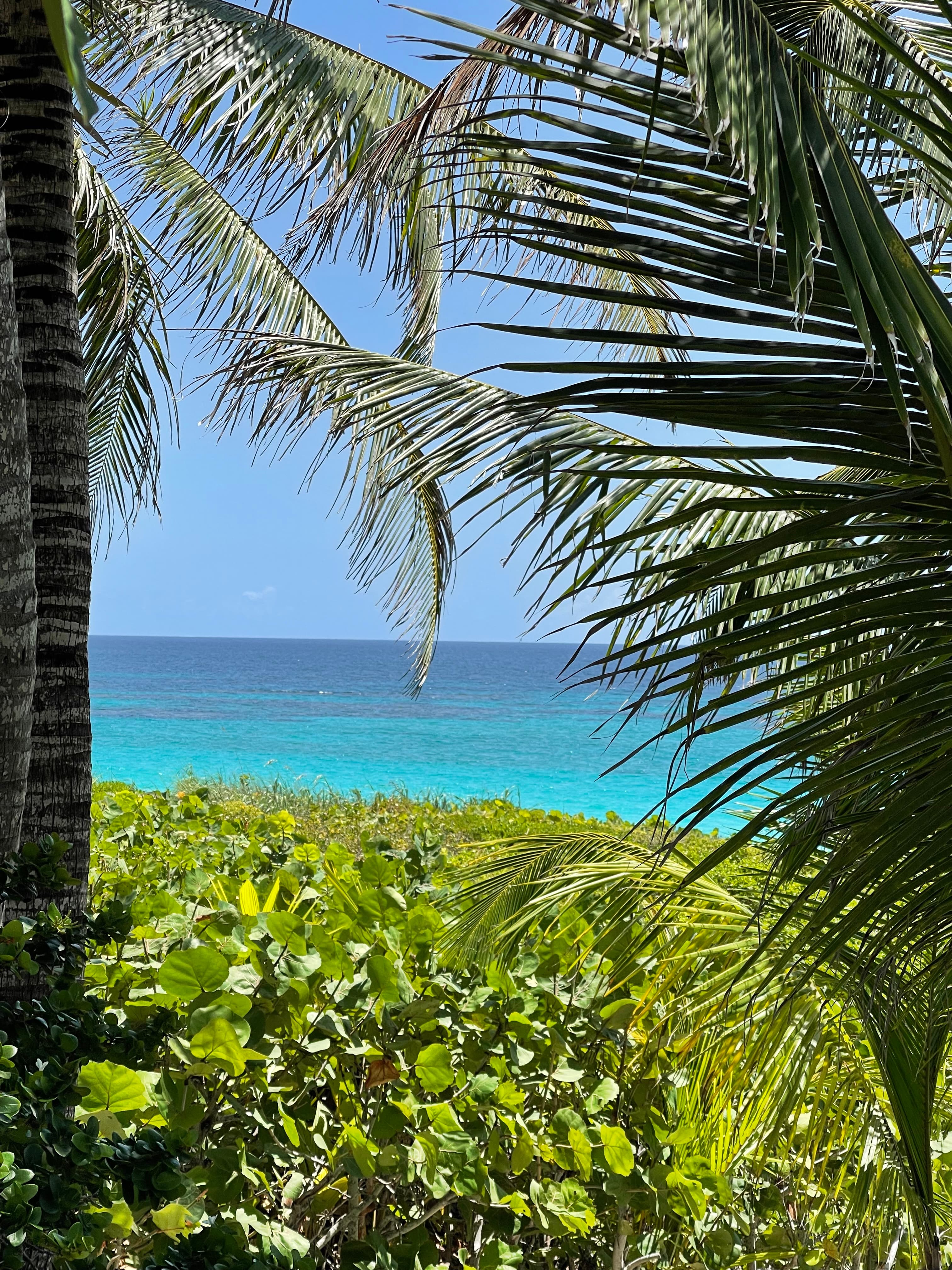 Picture of sea view at Bahamas
