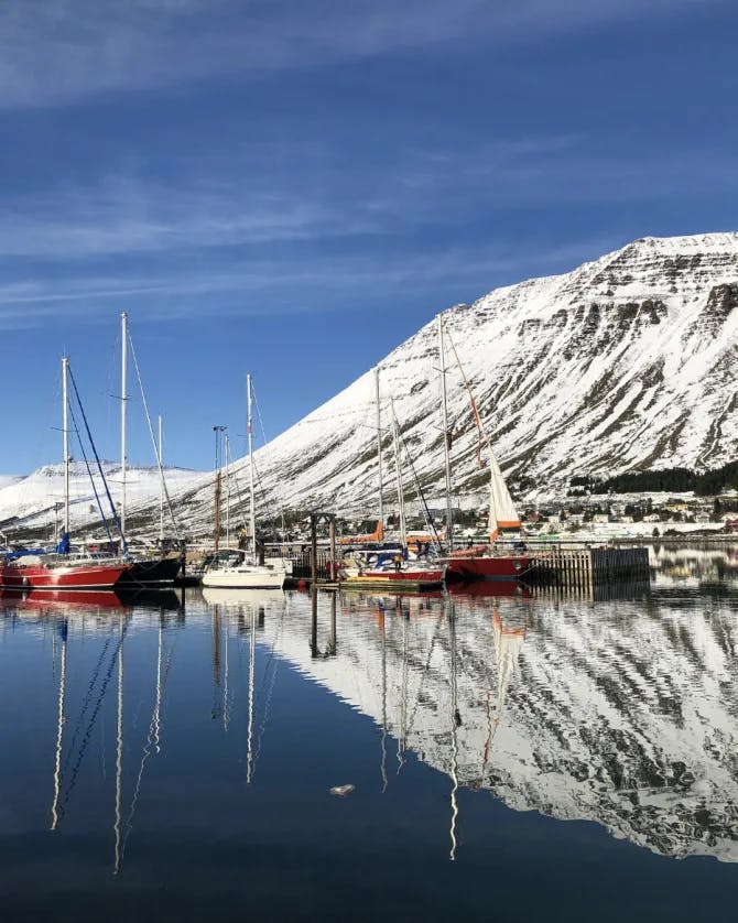 Boats anchored in a harbor on still water with a snowy mountain in the background.
