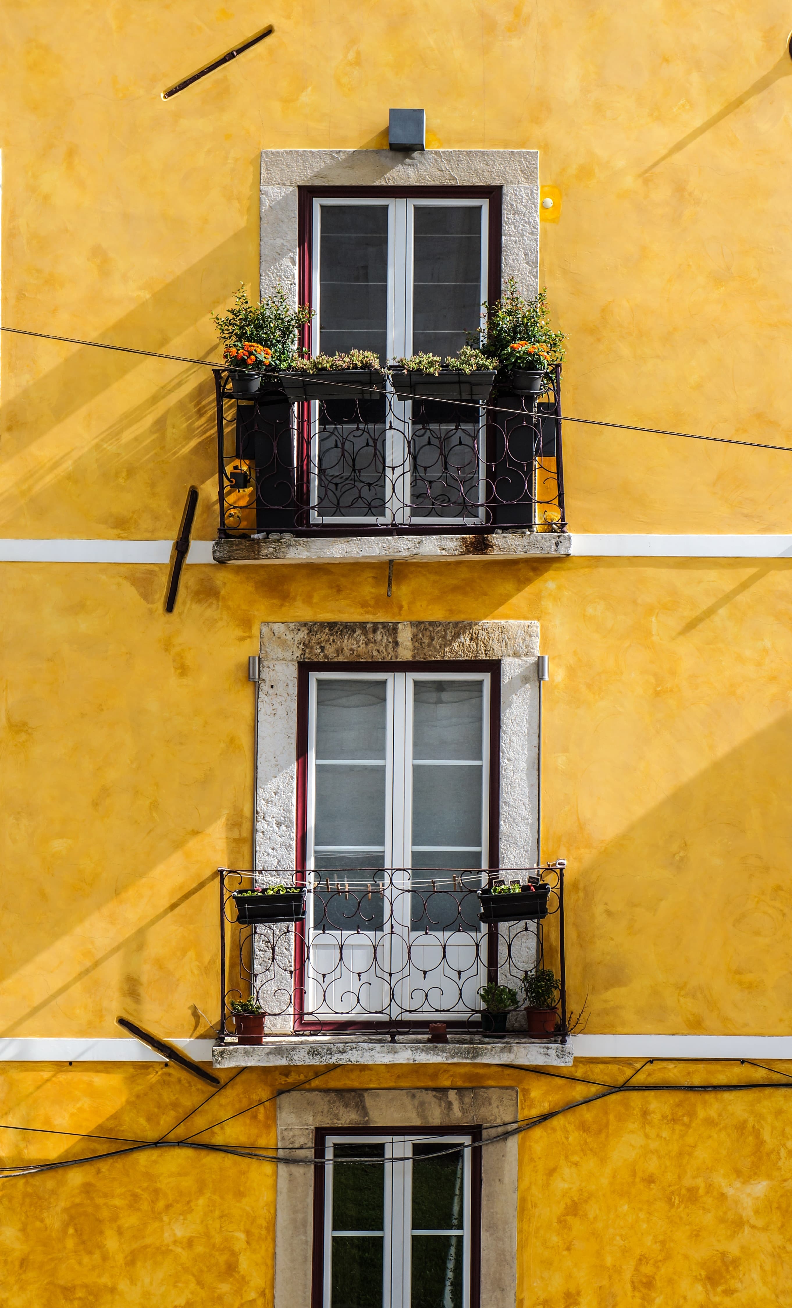 windows on yellow wall