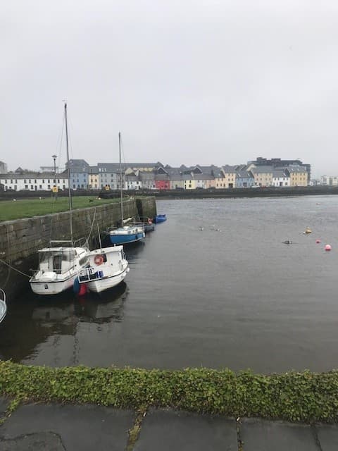 Picture of boats anchored at Ireland bay near a grassy path with buildings in the background on a cloudy day
