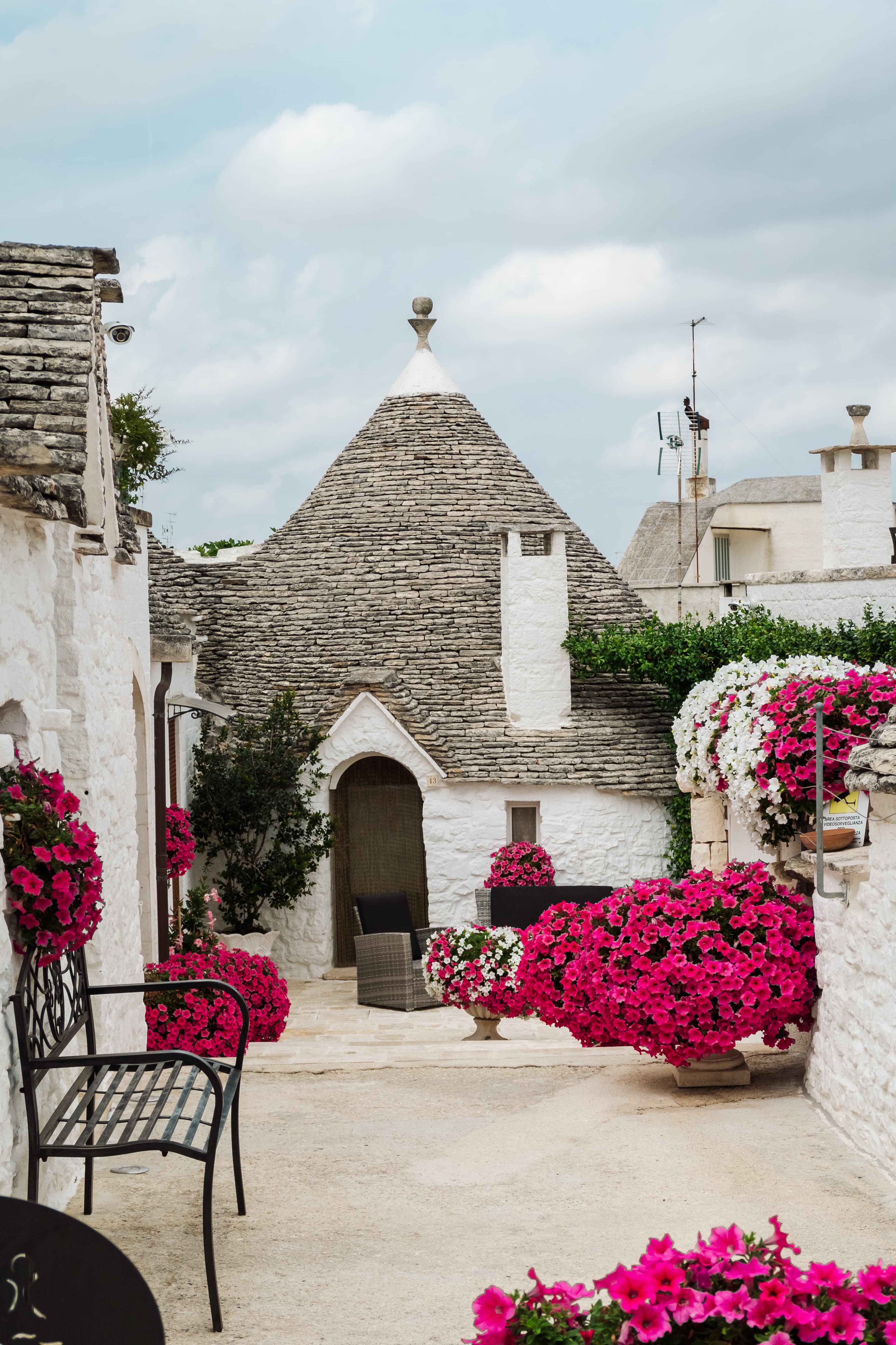 Area decorated with pretty flowers