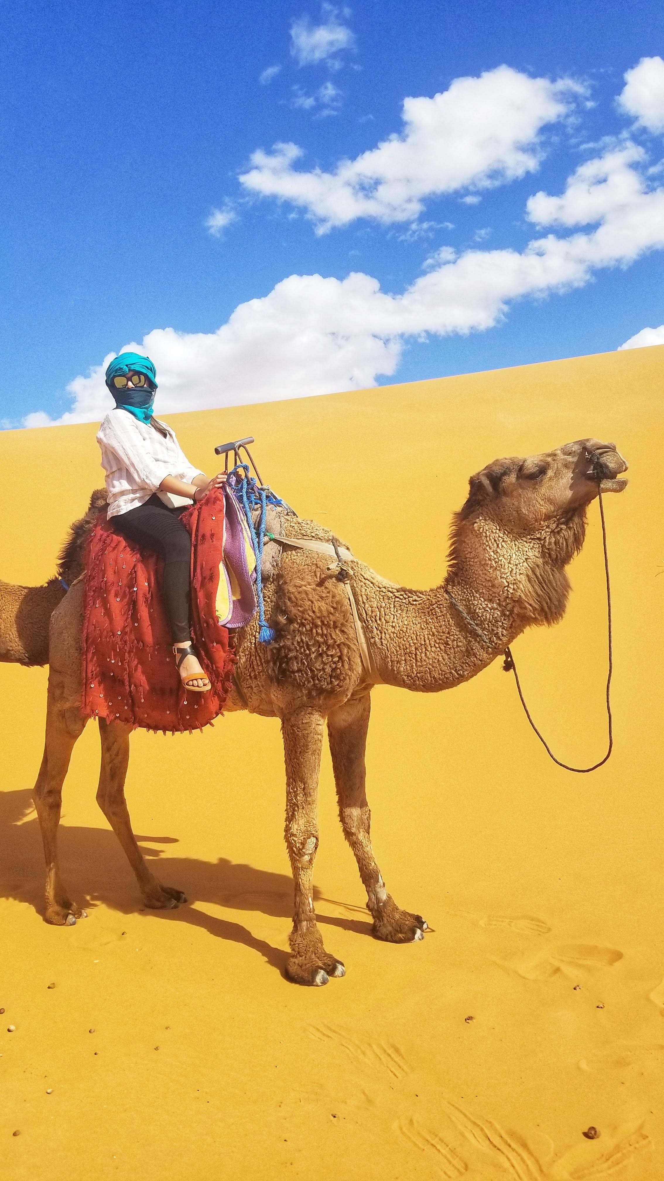 Person riding a camel in a desert.