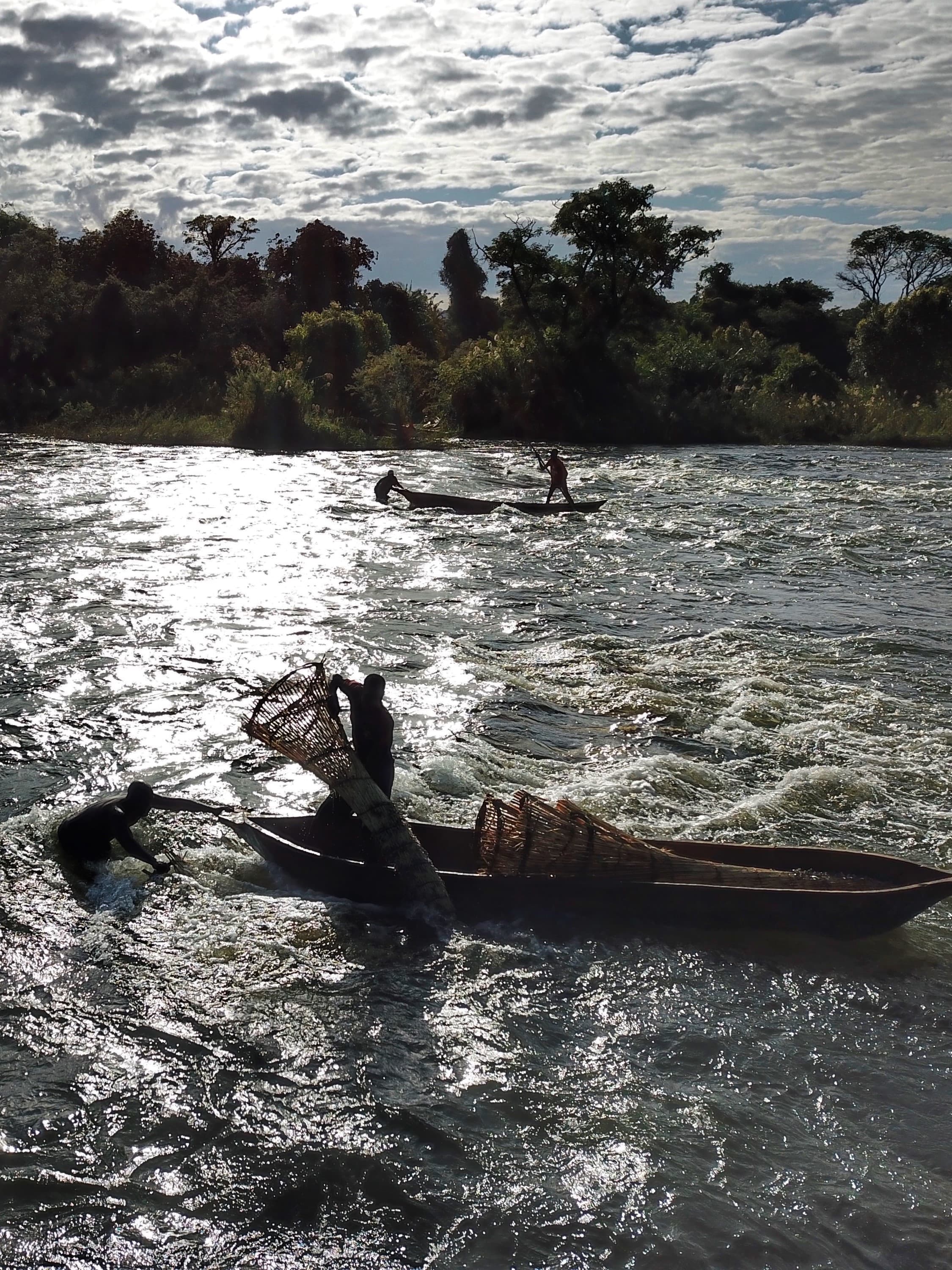 A boat ride on the rippling water with trees in the background