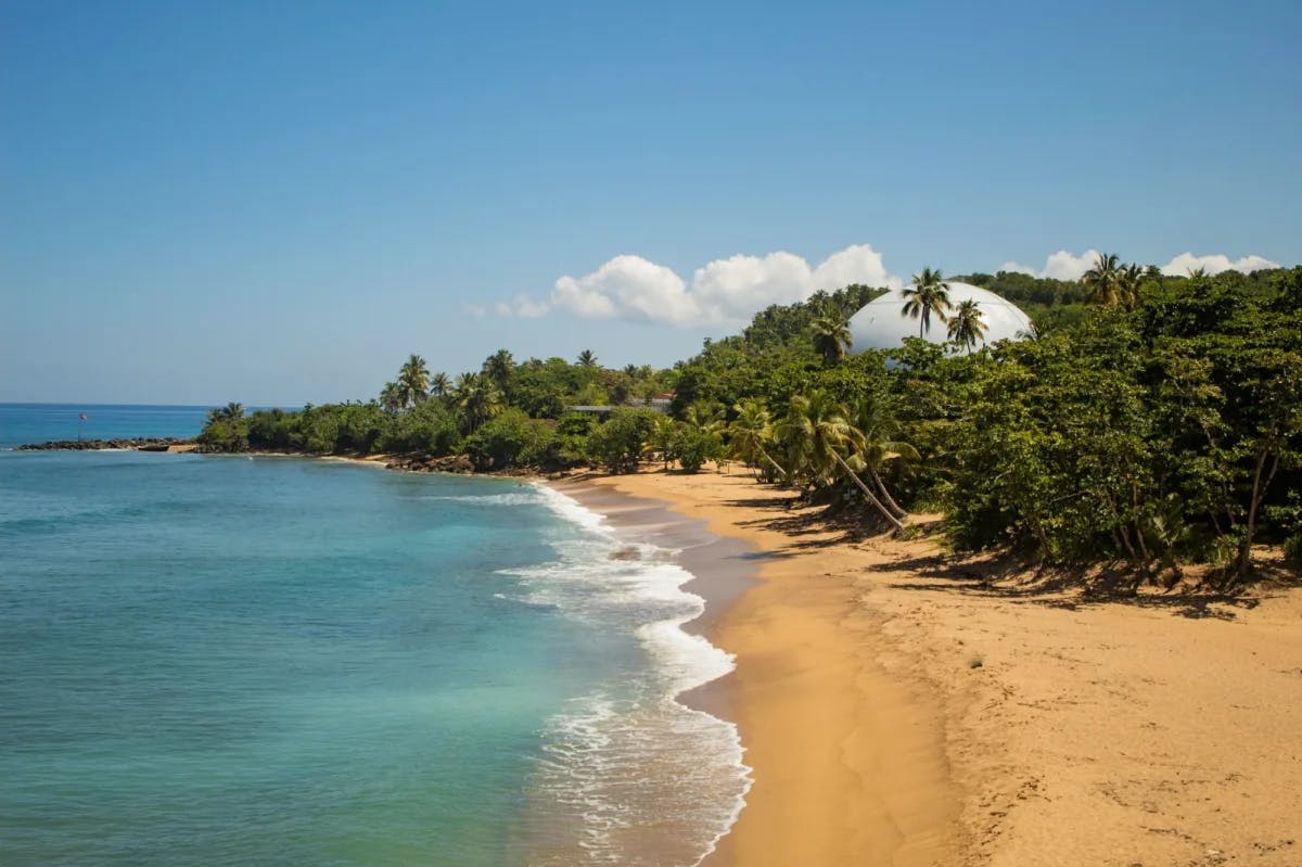 Light surf graces tan beaches before tropical vegetation at a beach in Rincon, one of the best areas to stay in Puerto Rico