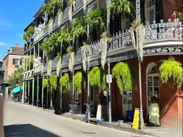A picture of the exterior of a building in the French Quarter of New Orleans complete with balconies, hanging green plants and a city street.
