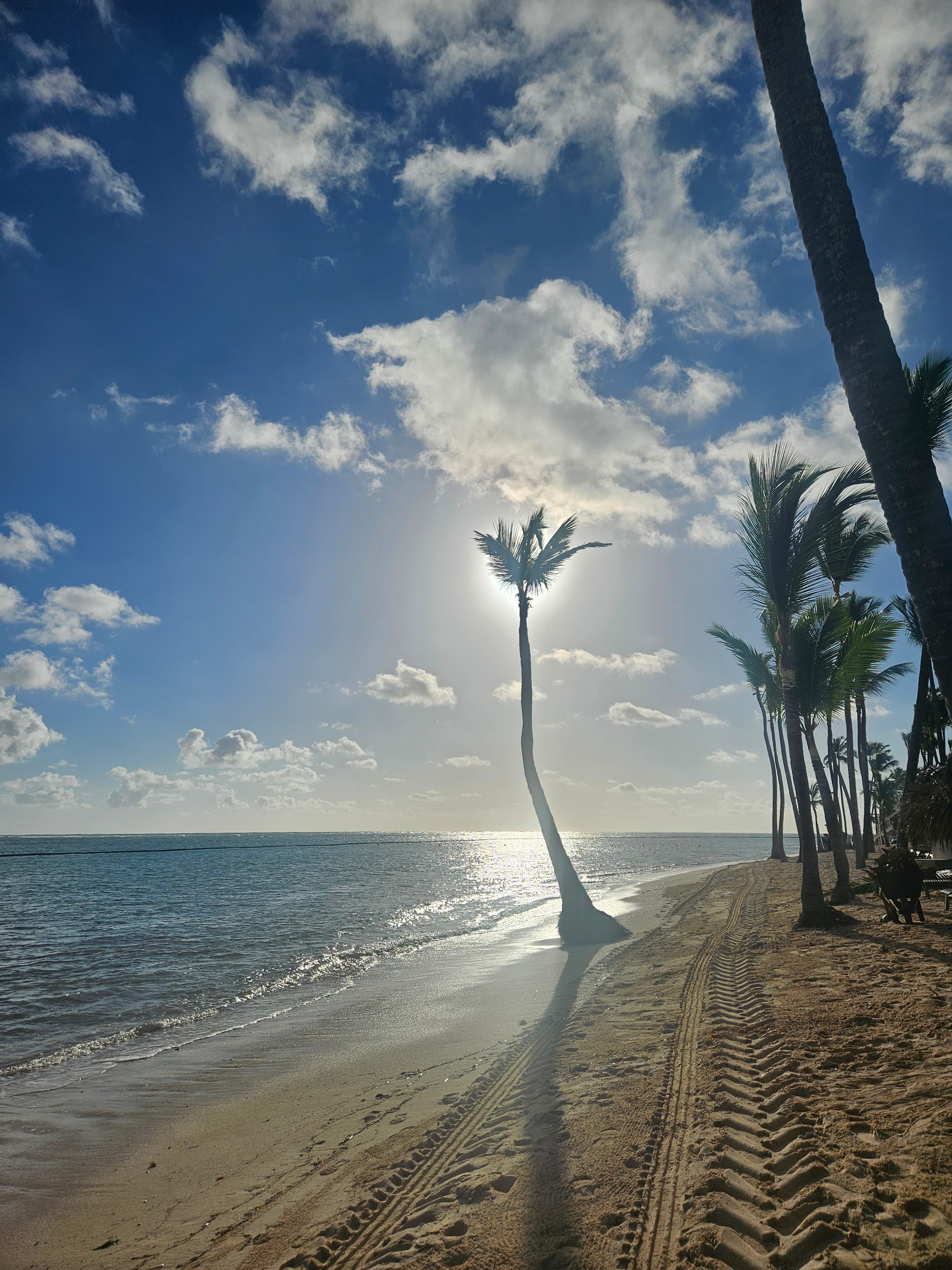 A beach, blue water and palm trees in front of the shining sun.