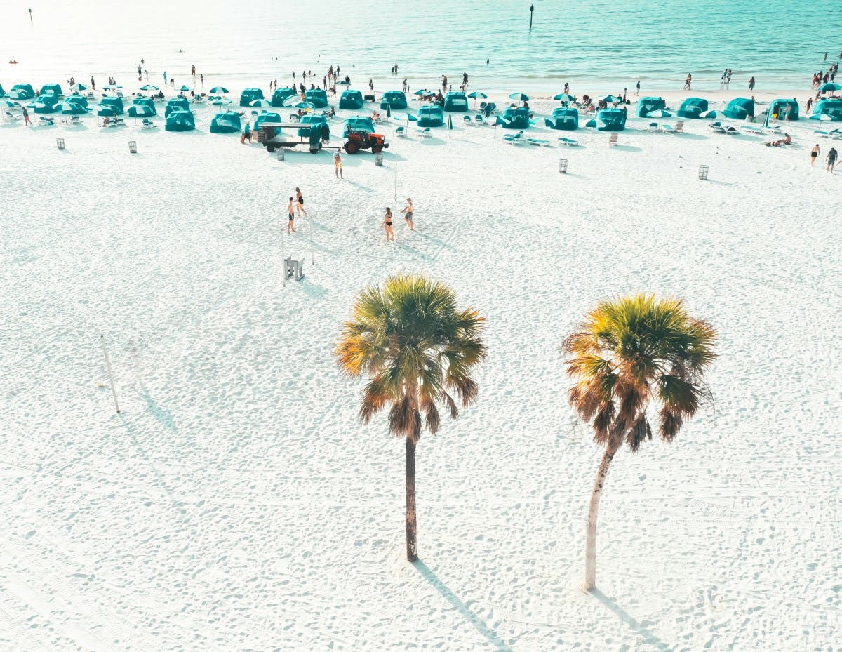 Aerial photo of a beach during daytime with blue tents and umbrellas and two palm trees