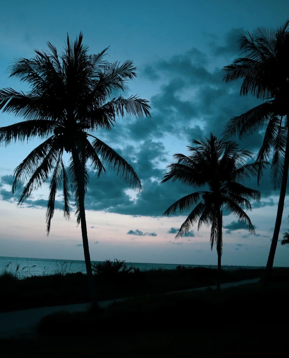 Tranquil Serenity at South Seas Resort, Captiva Island, Florida