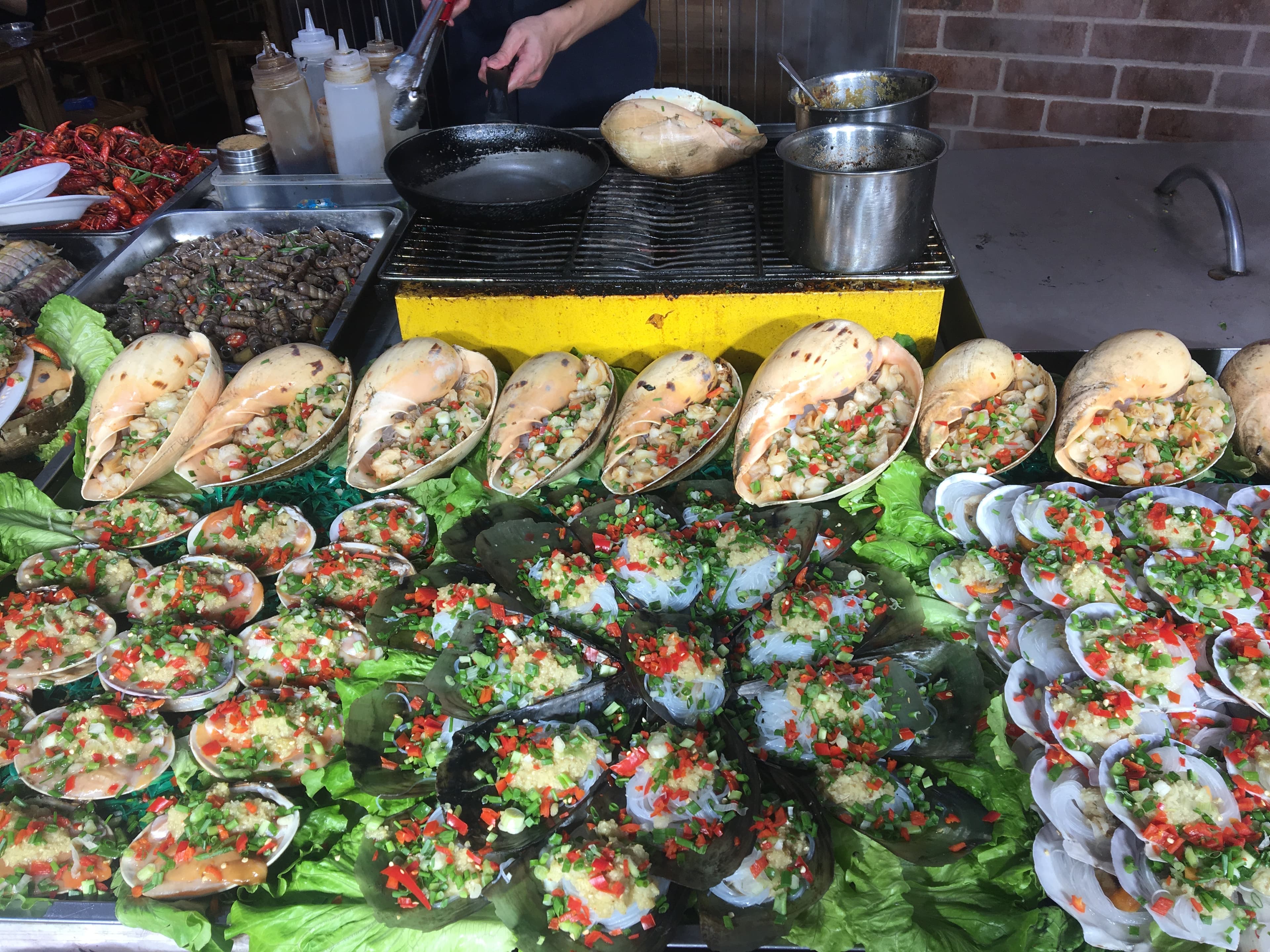 Pathway leading to the view of the sea
