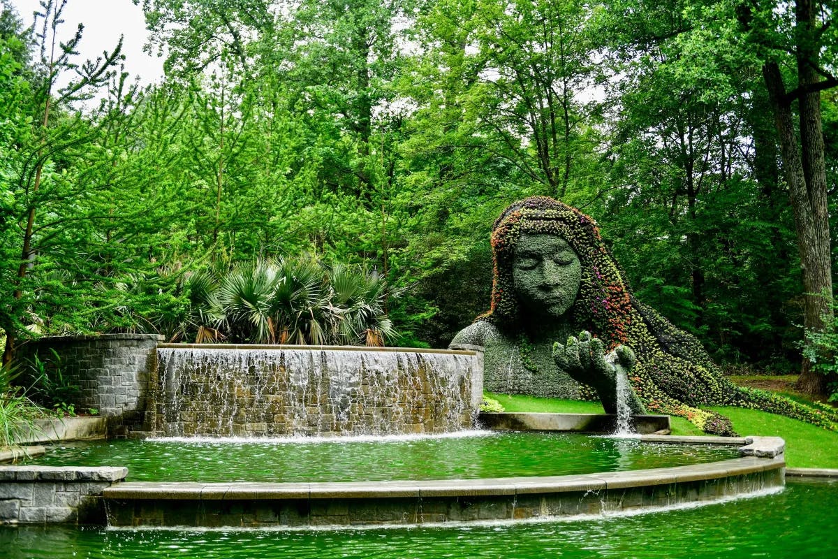 Atlanta Botanical Garden consists of thirty acres of display gardens and shady woodlands featuring plant collections.